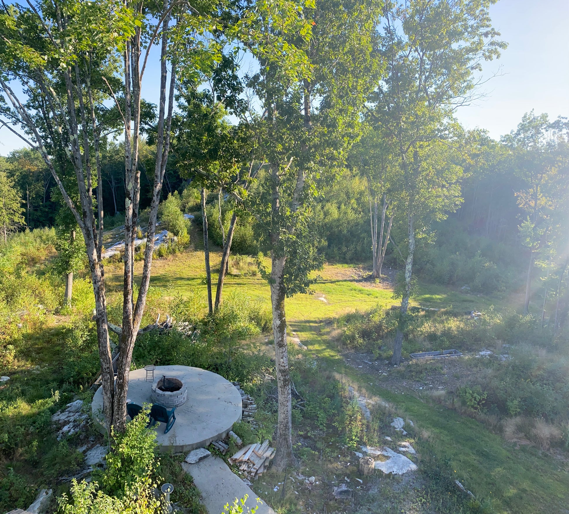 Outdoor setting with a circular stone feature surrounded by trees and greenery