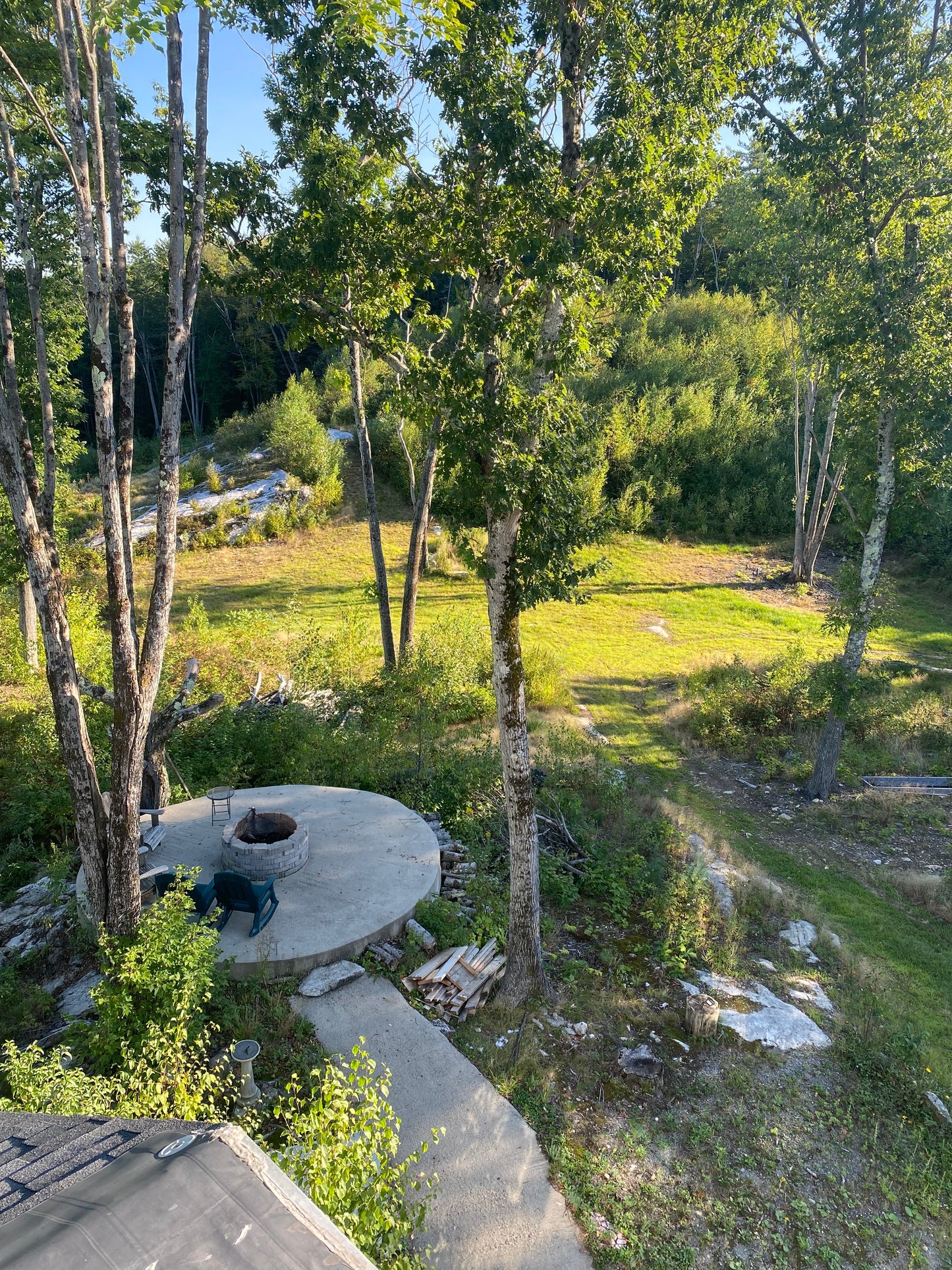 Rustic stone fire pit in a forest setting with trees and greenery.