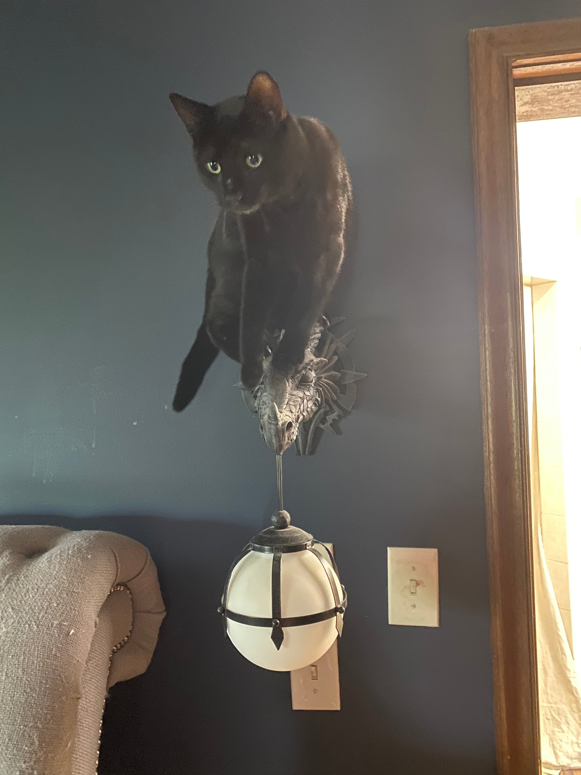 Cat riding a dragon faced sconce on each side of bedroom