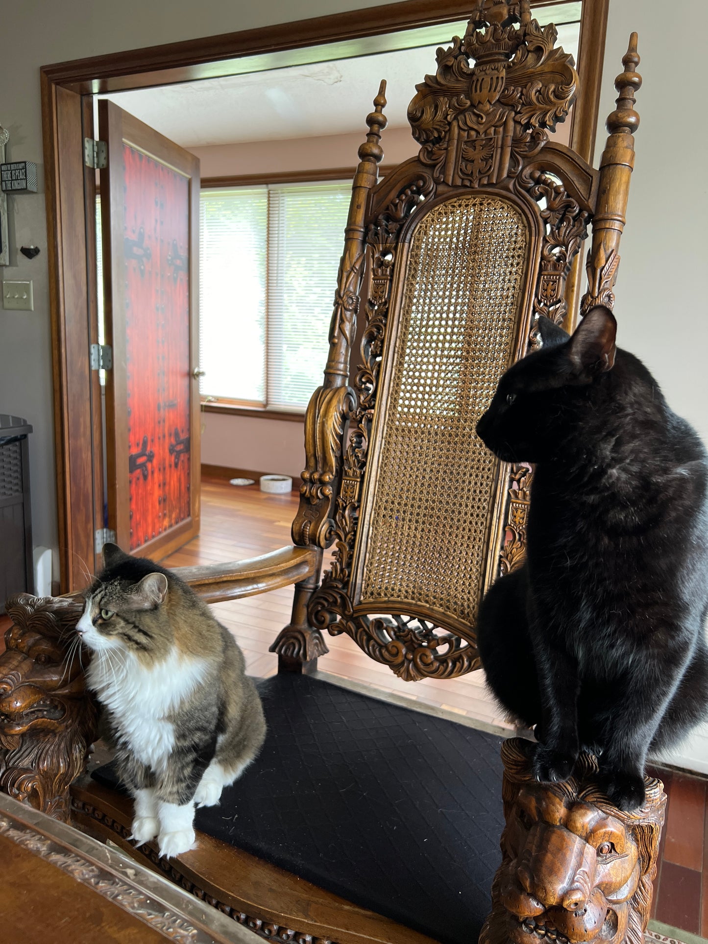 Two cats sitting on an ornate kings throne with  in dining room