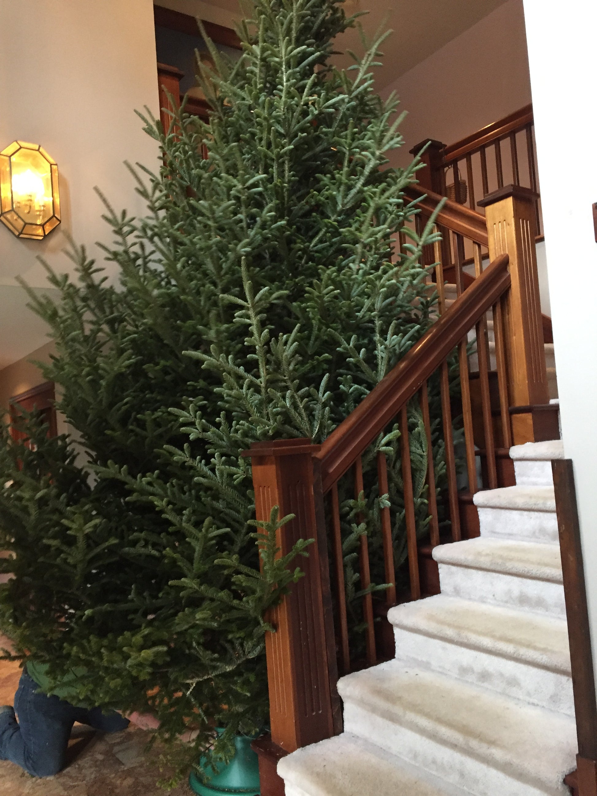 Decorative Christmas tree in a home setting with wooden staircase and white curtains.