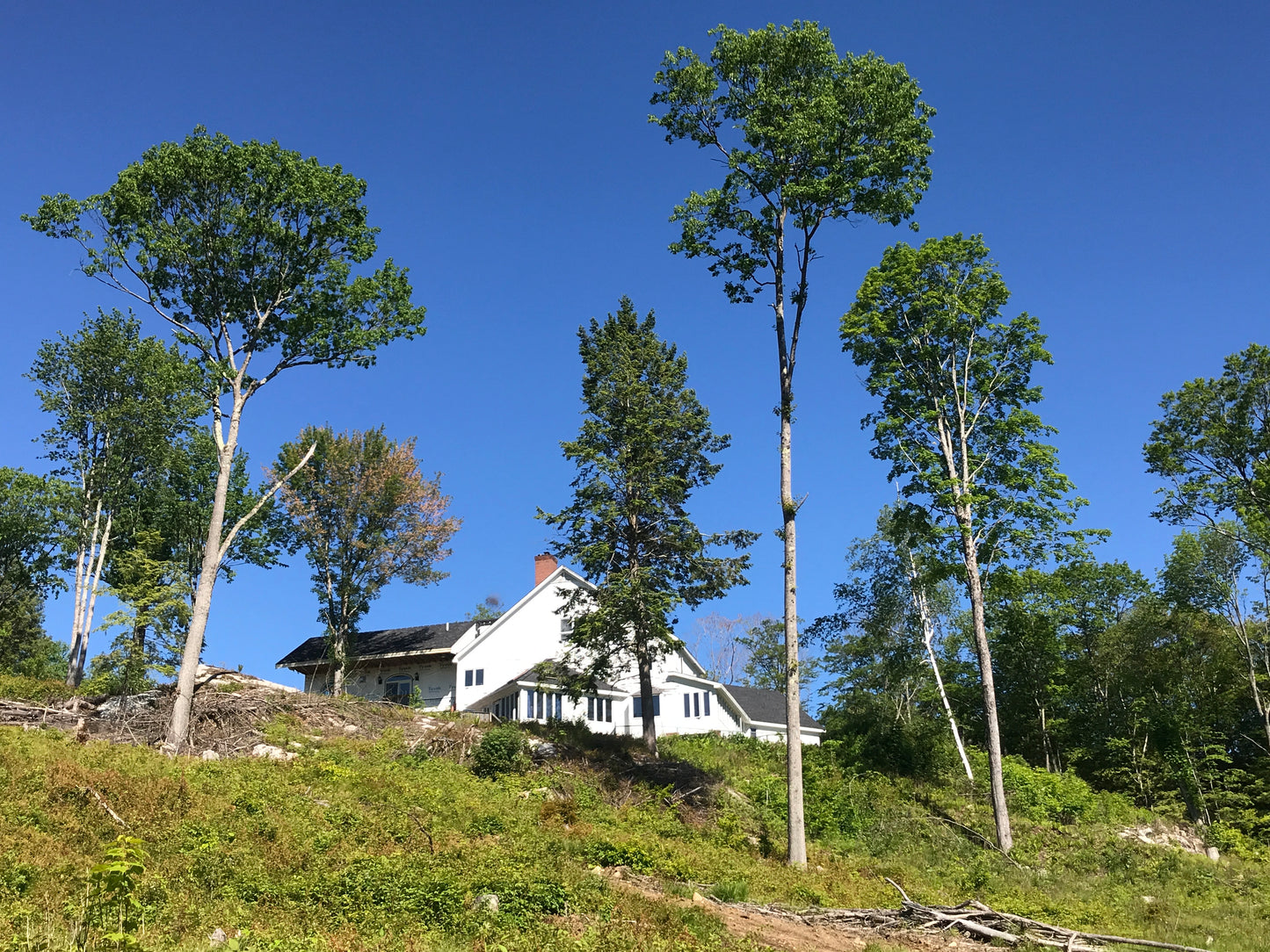 White house on a hill with trees and clear blue sky. View from one of the middle trails.