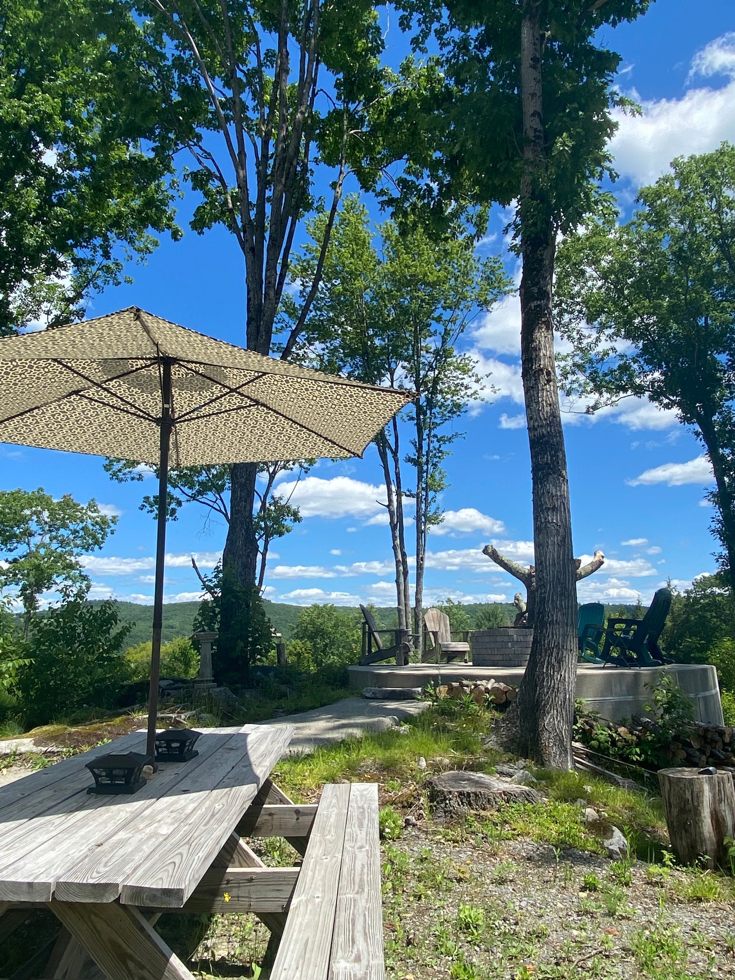 Umbrella on a wooden deck with trees and blue sky in the background