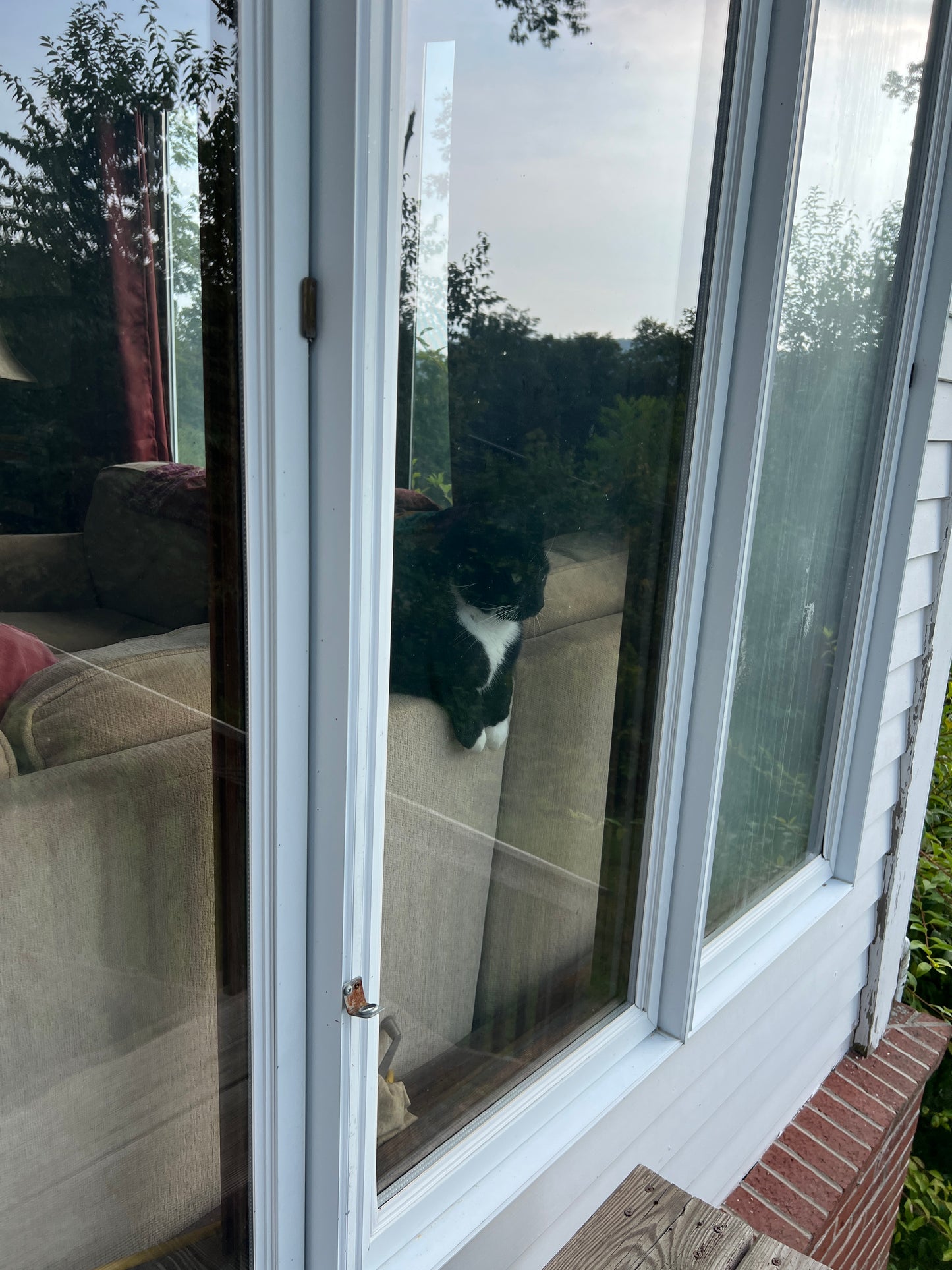 Window with a cat's reflection on a glass pane