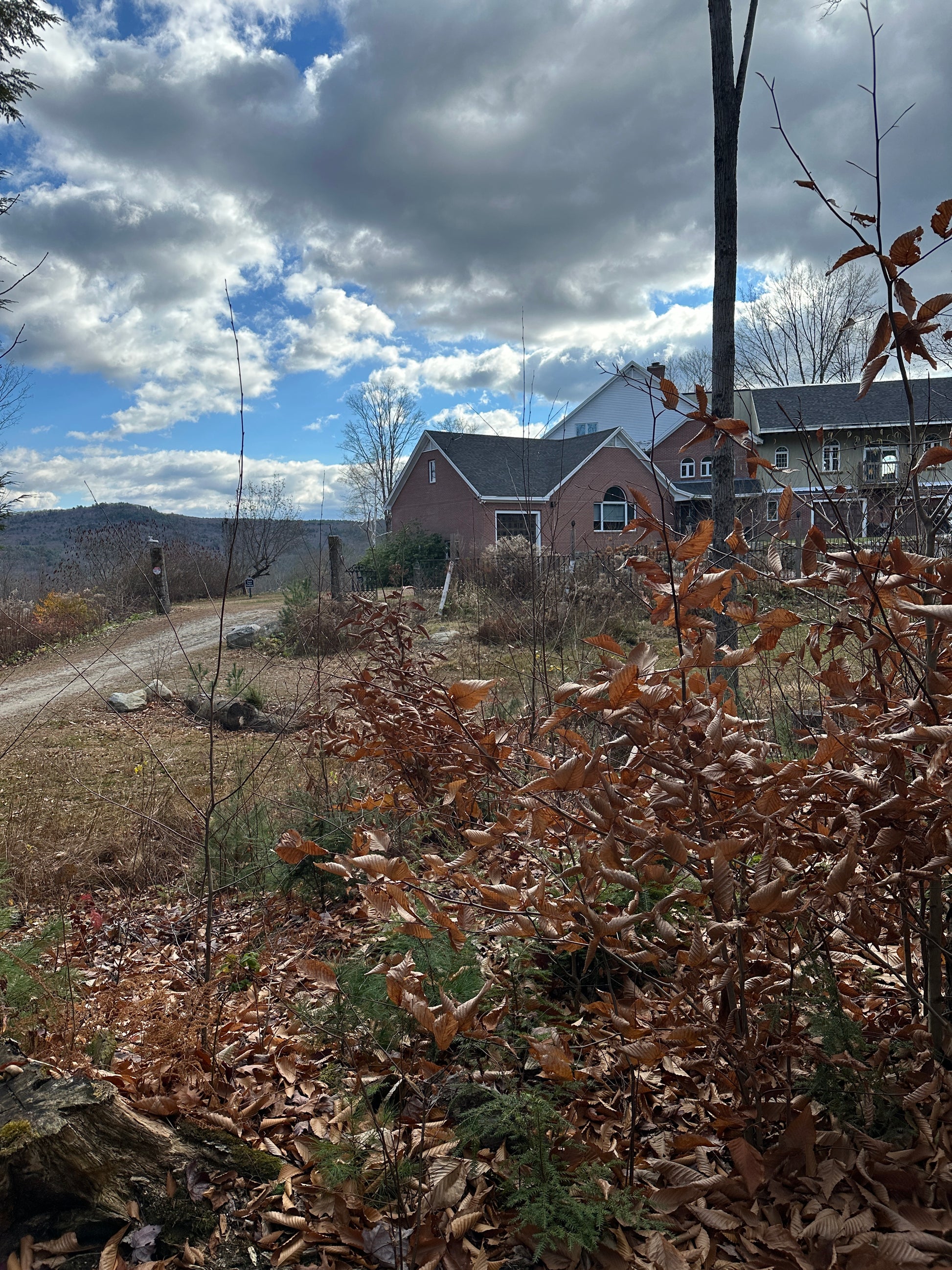 House with a cloudy sky and leafless trees in the foreground