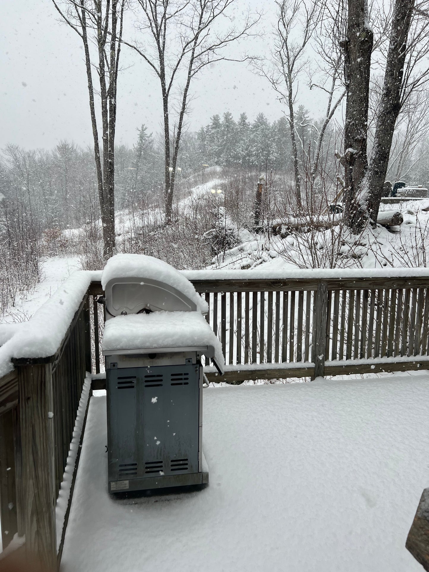 Snowy outdoor scene with a bench and trees