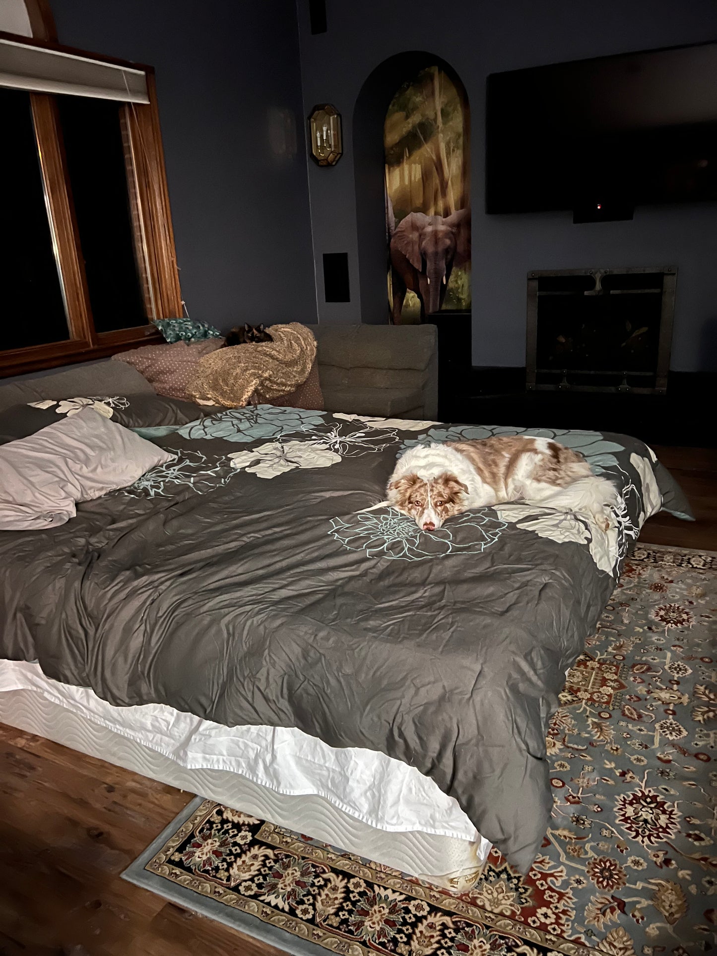 Bedroom with a bed covered in gray bedding and floral-patterned blanket, carpeted floor.