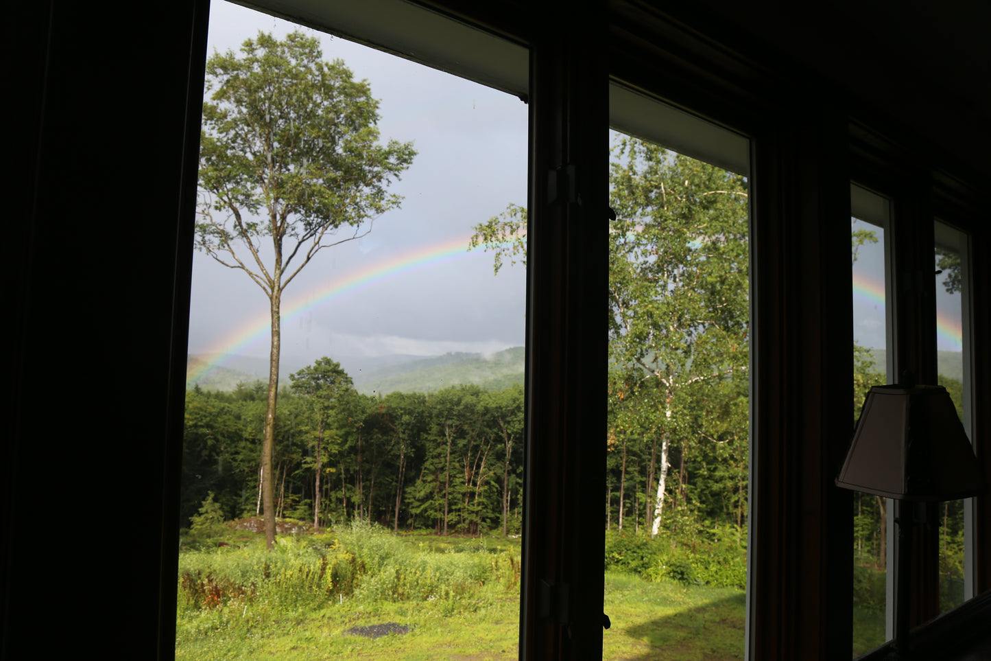 Rainbow visible through the sunroom windows with a view of trees and greenery outside