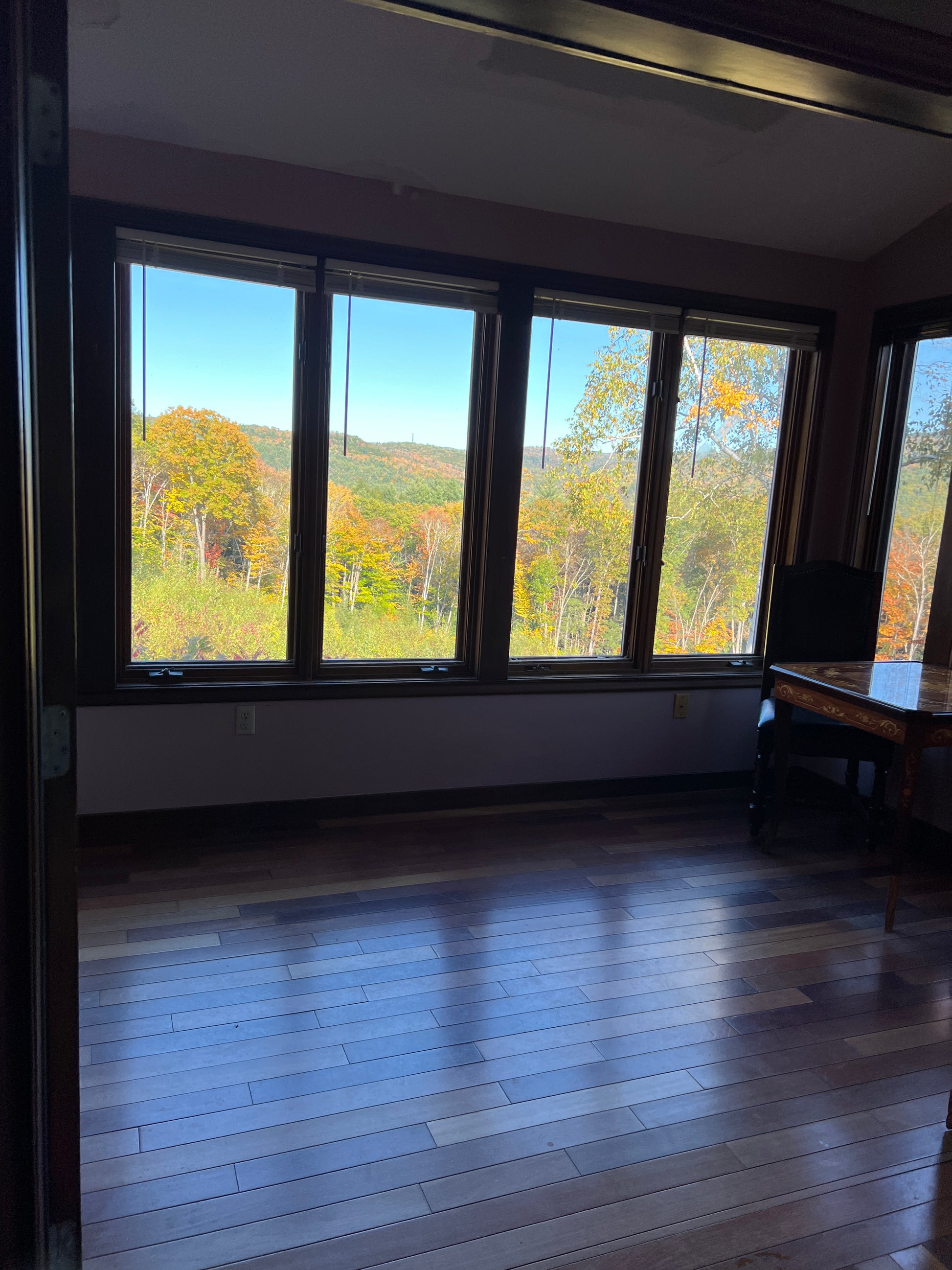 Window view of trees with a wooden floor and wall.
