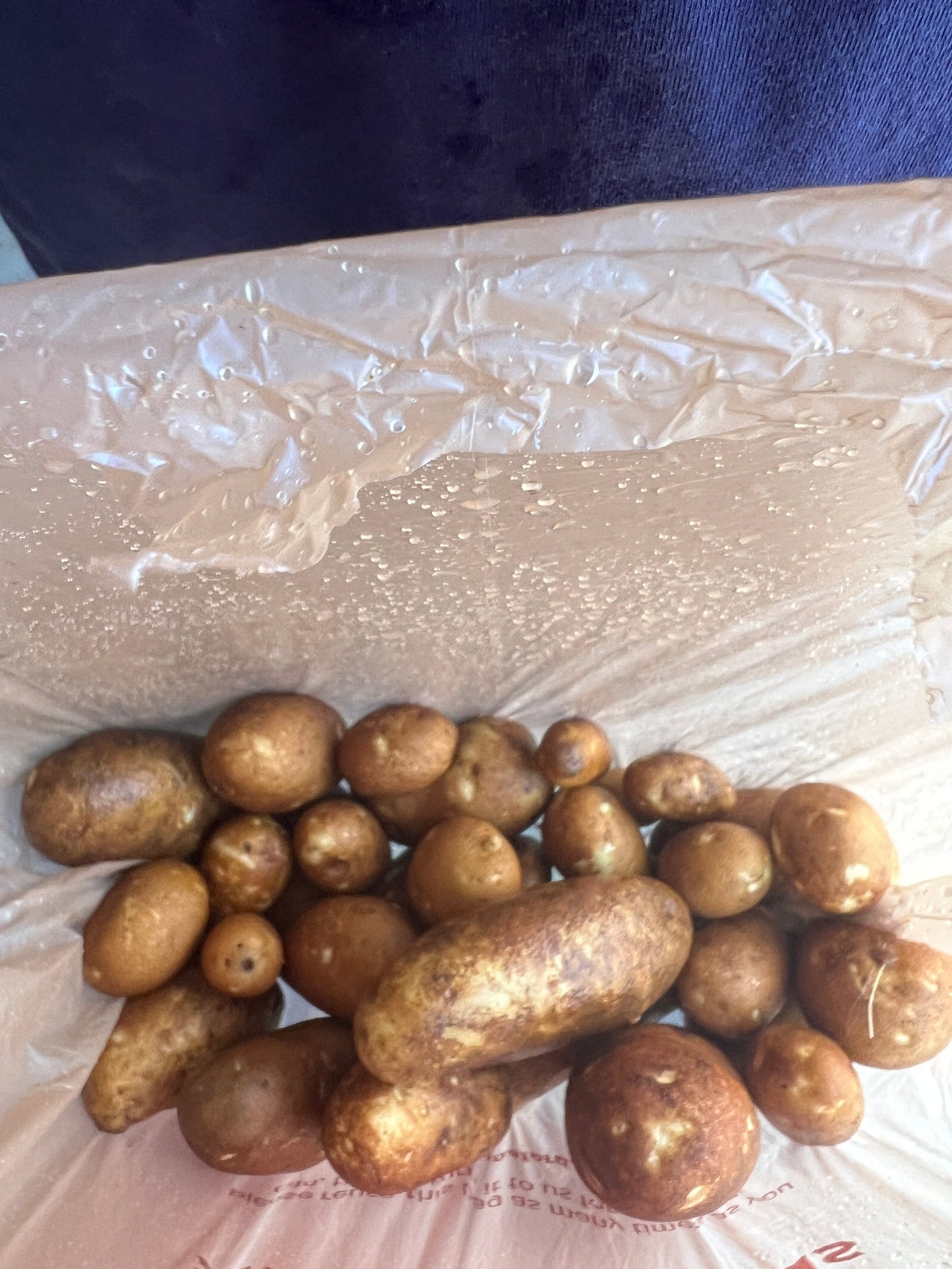 Brown potatoes on a clear plastic bag with a dark background
