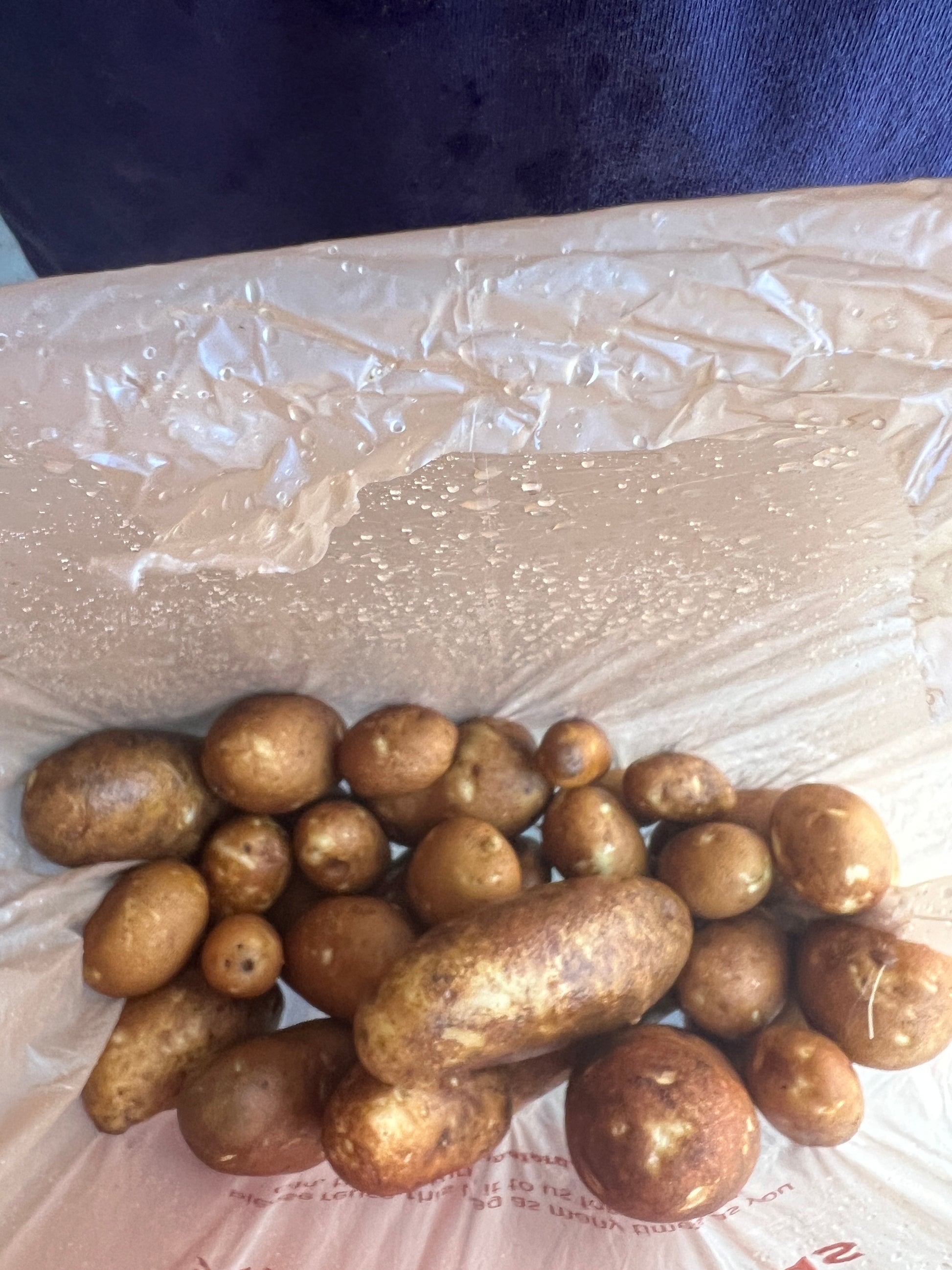 Brown potatoes on a clear plastic bag with a dark background
