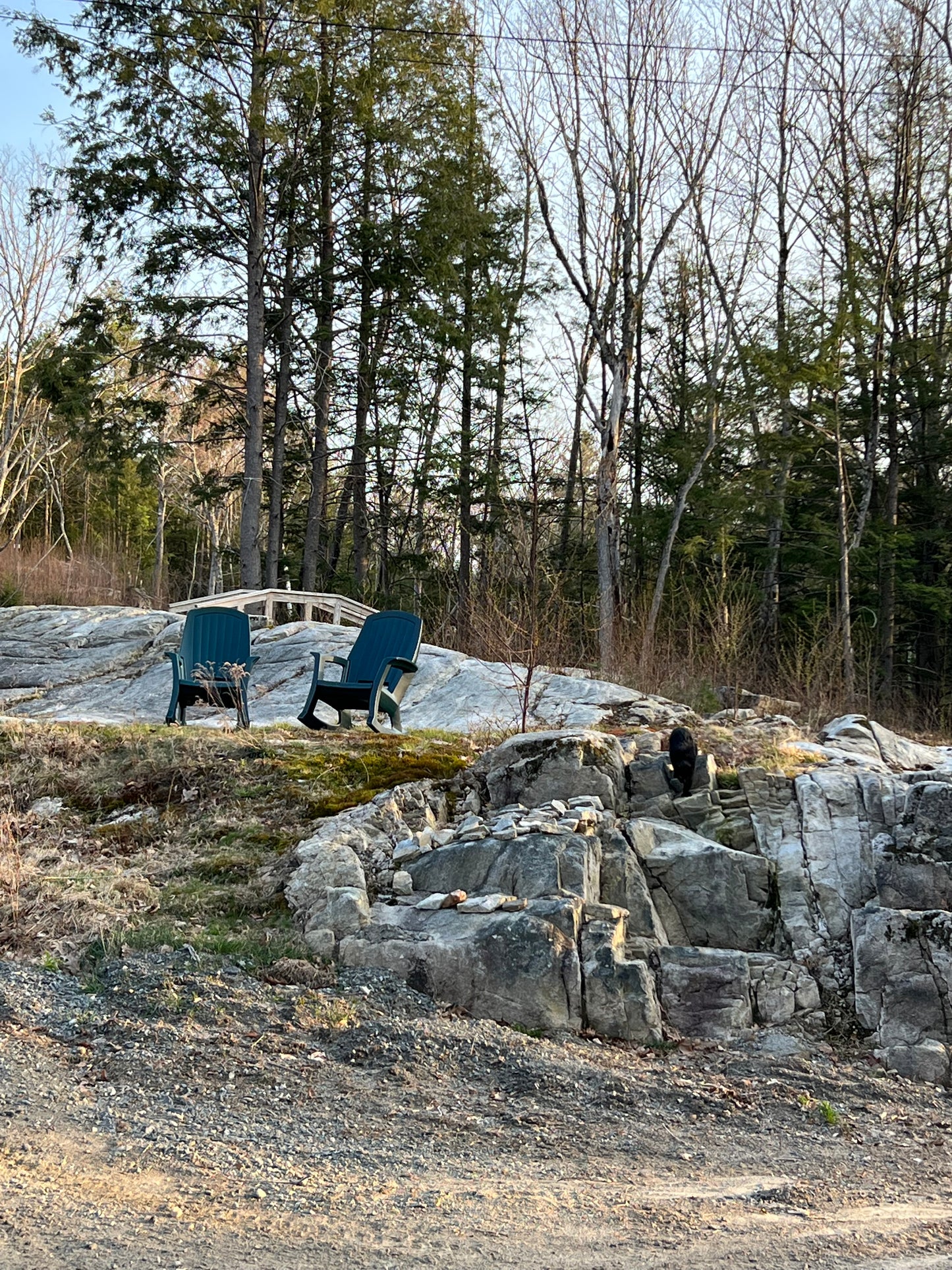 Rock patio  and trees in a natural setting Nature View NH Estate 