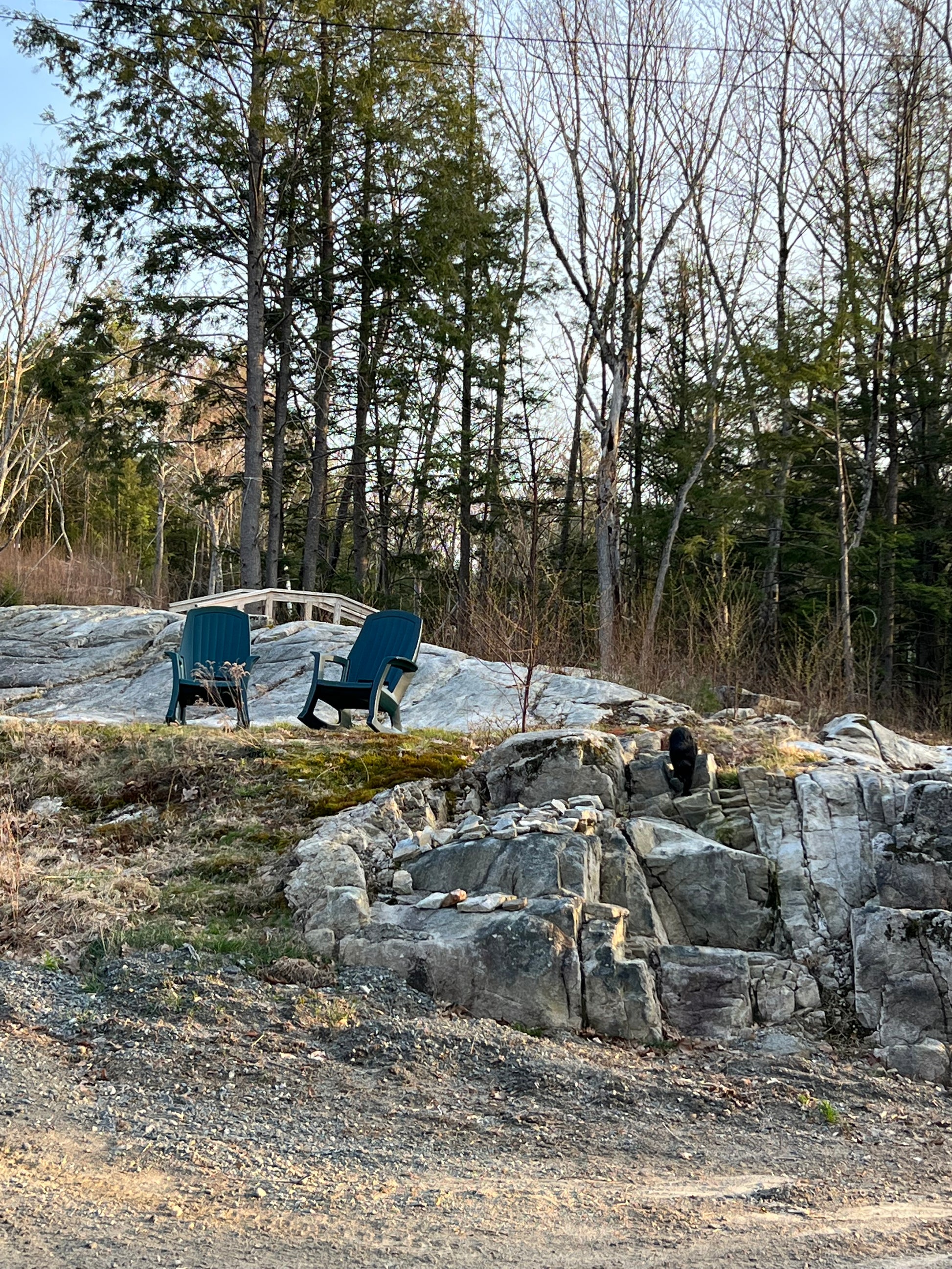 Rock patio  and trees in a natural setting Nature View NH Estate 