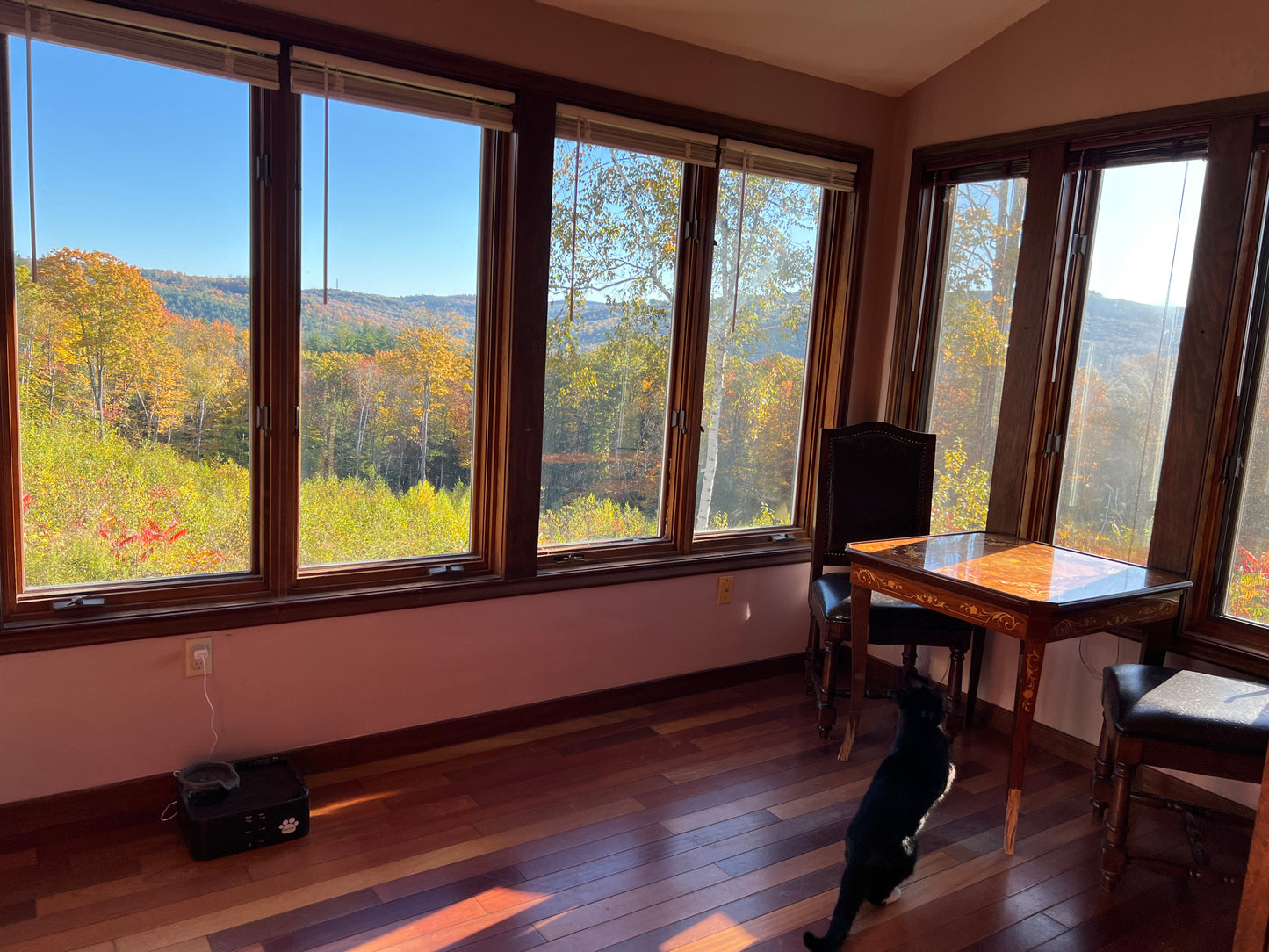 Sunroom with large windows offering a view of trees and mountains, wooden desk, and chairs.