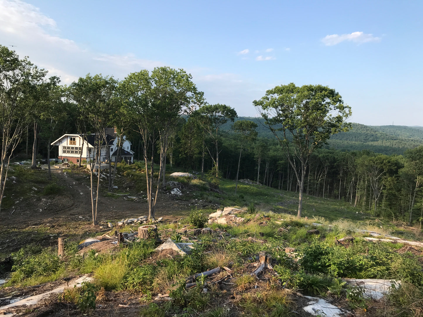 Large house on a mountain with trees and clear sky and ledges.
