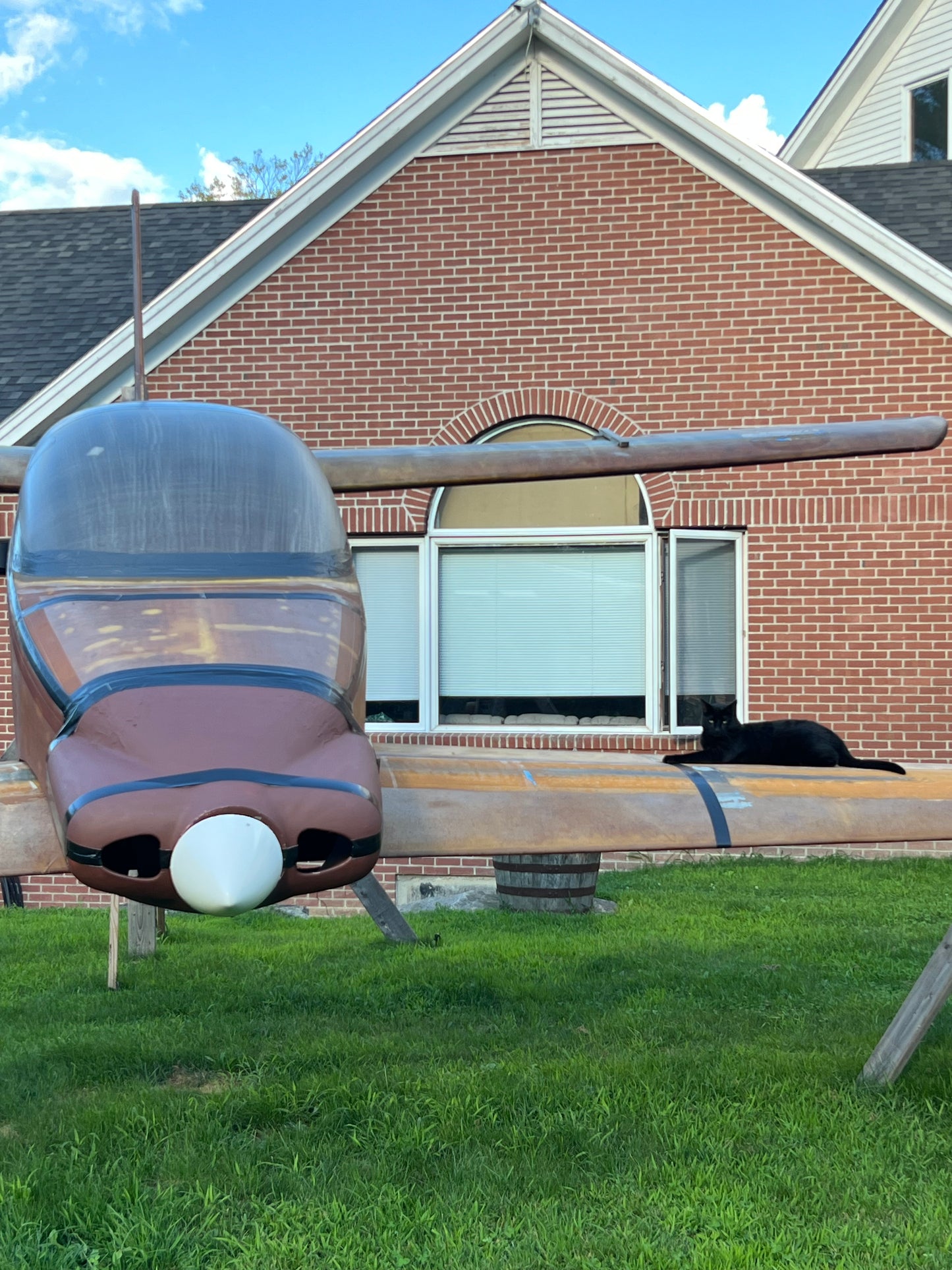 Airplane on front lawn with a brick building in the background. Cat laying on the airplane wing.