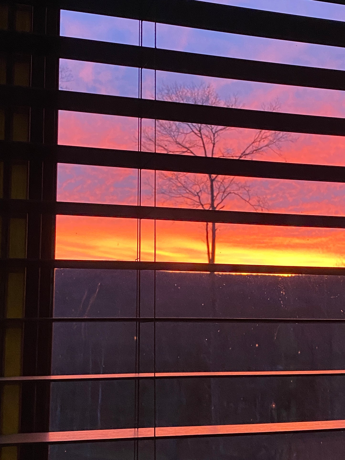 Sunset  in guest suite with vertical blinds
