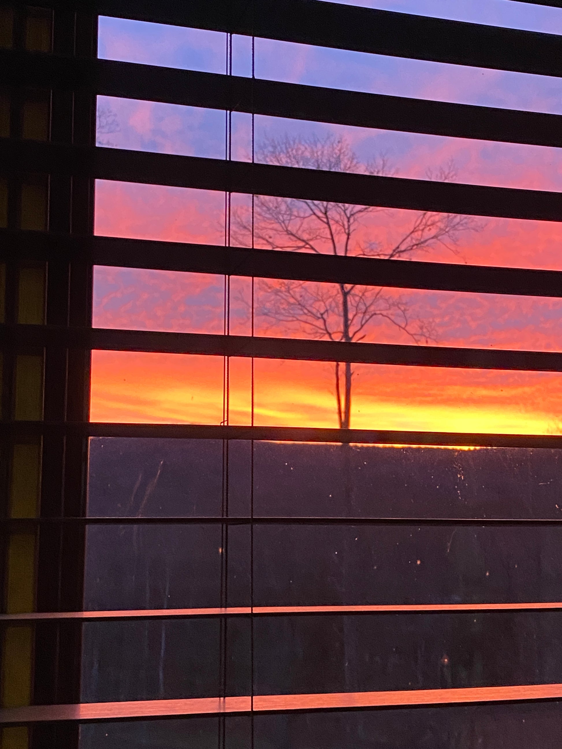 Sunset  in guest suite with vertical blinds