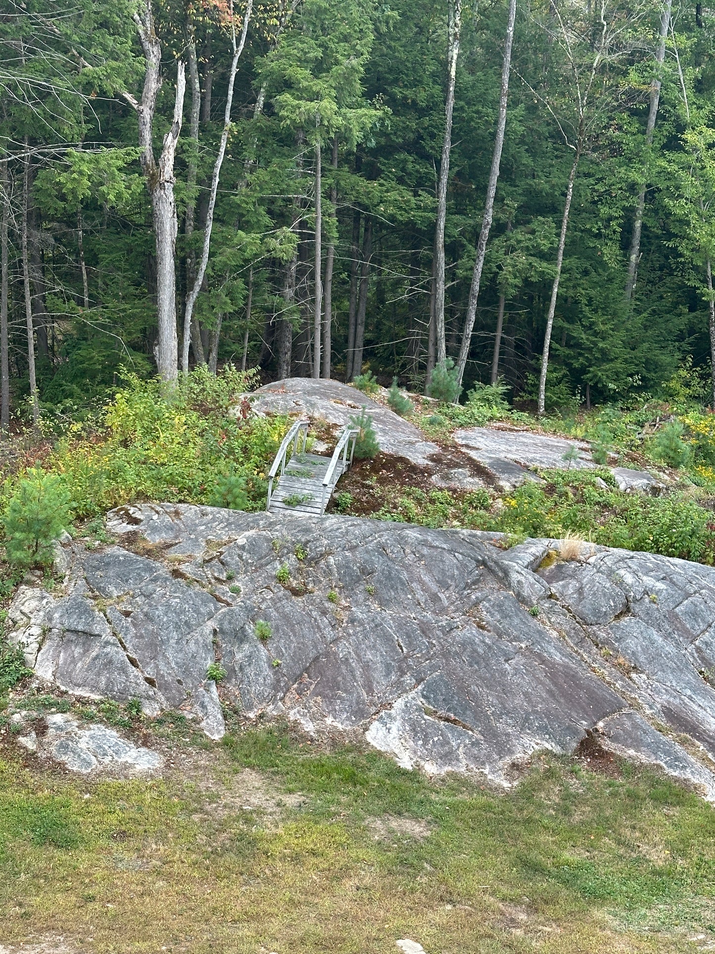 Rocky cliff face with forest in the background