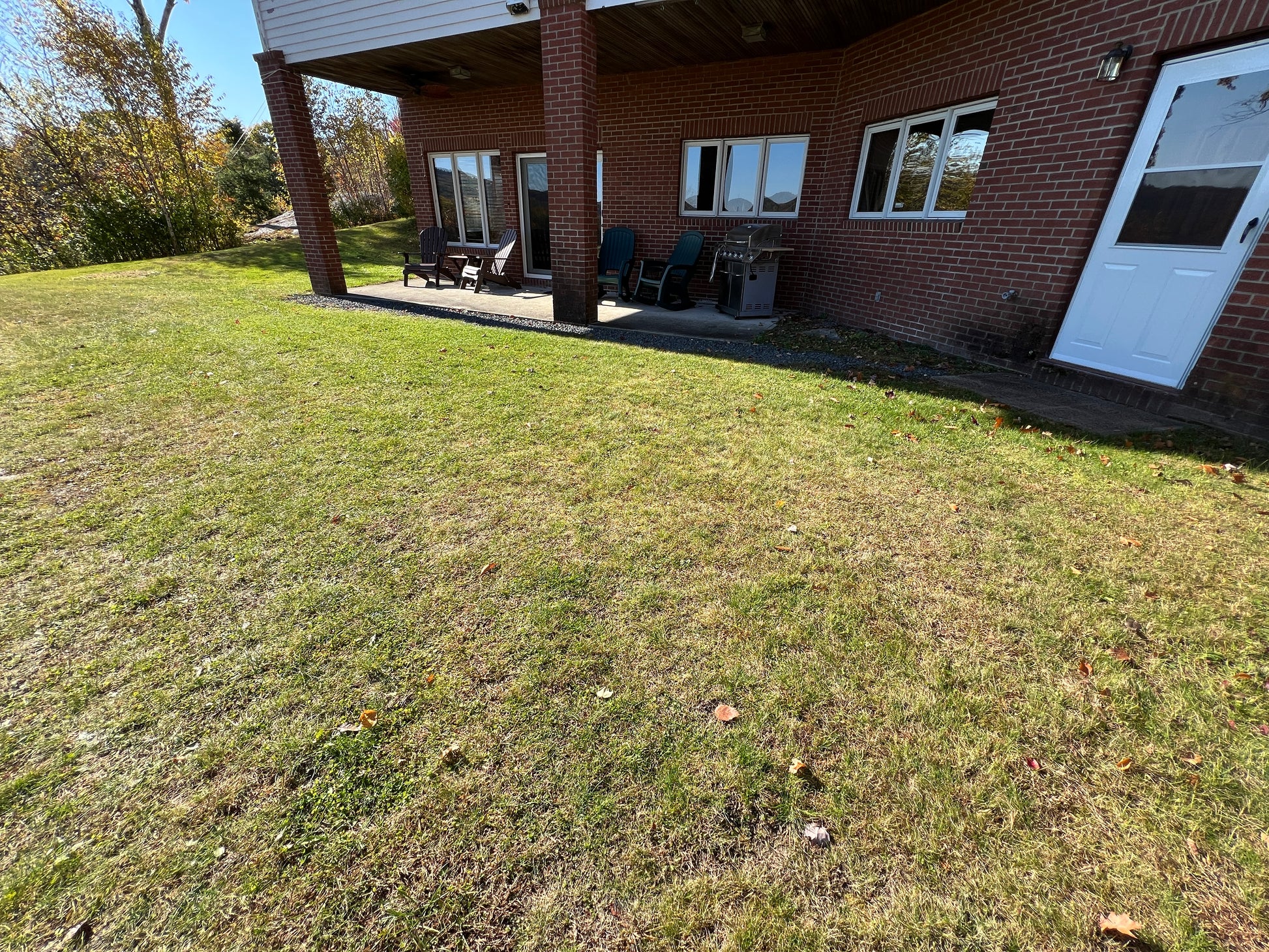 Backyard with grass and a brick house in the background