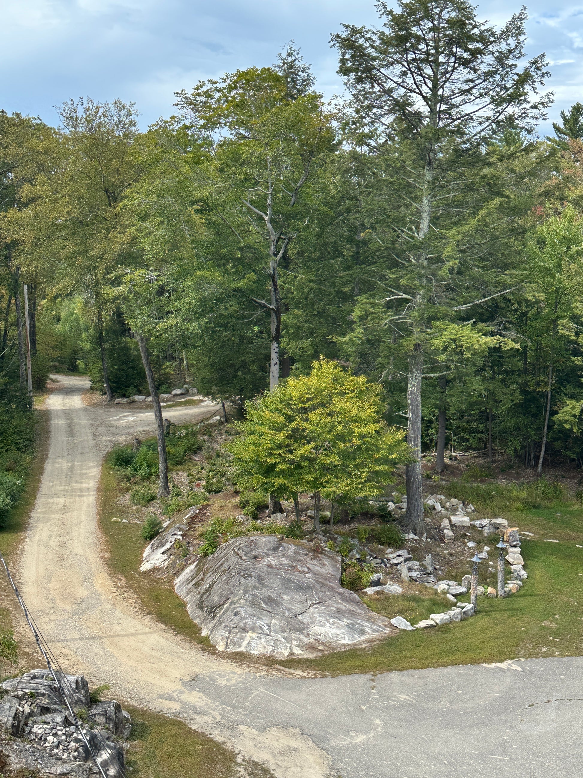 Winding driveway through a forest with trees and rocks on the side.