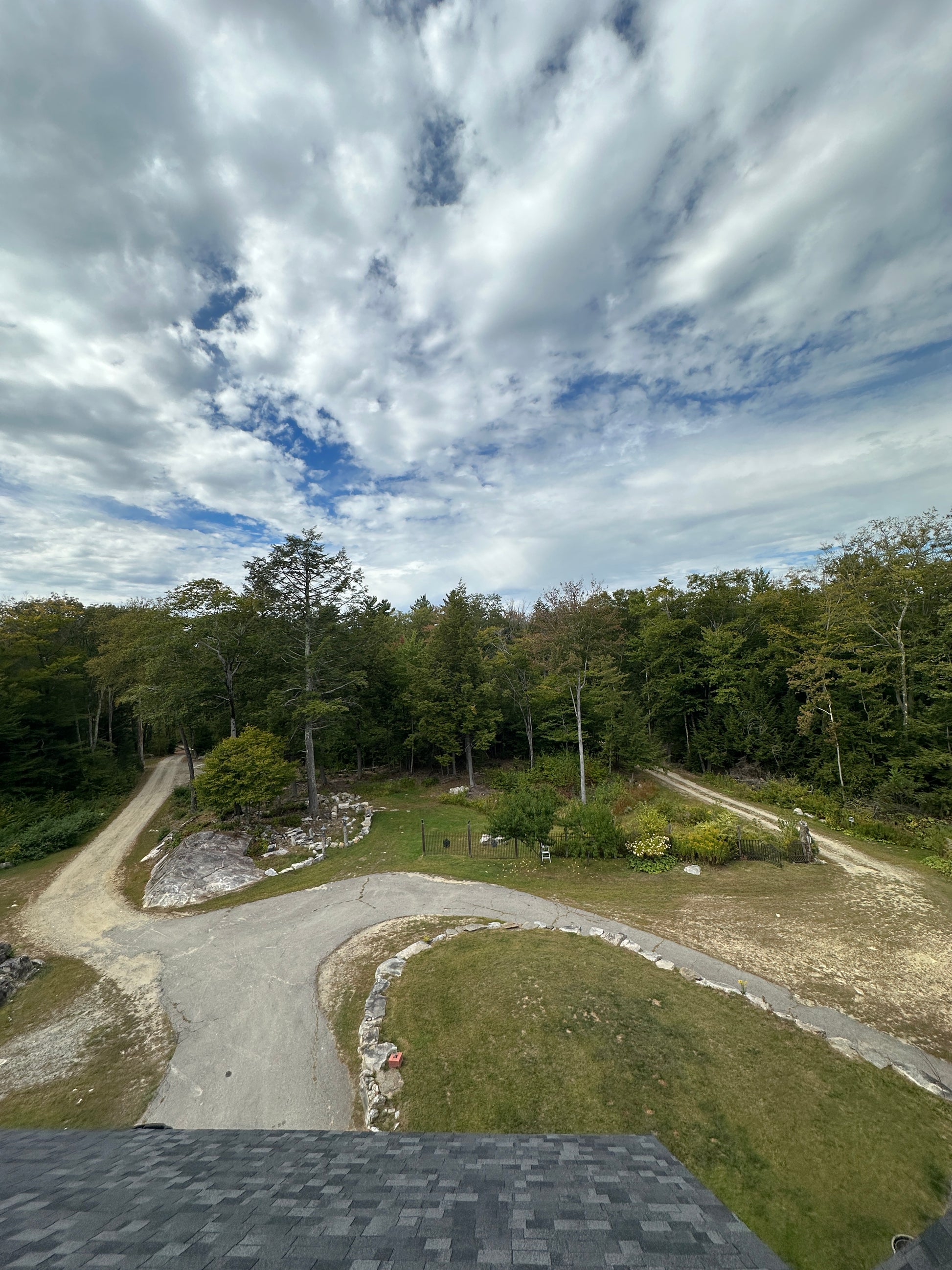 Aerial view of the winding driveway through a forest with a clear blue sky.
