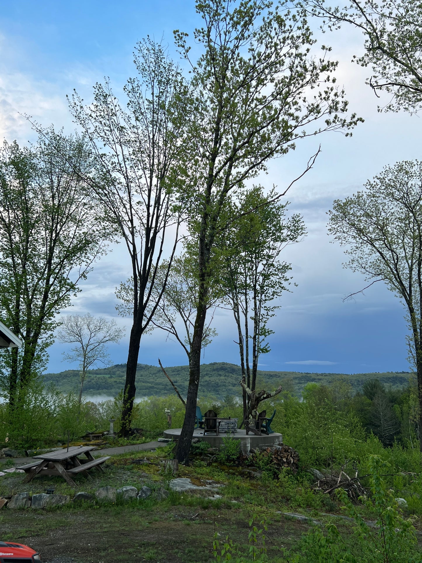 Scenic view of trees  fire pit and a fog rising with a clear blue sky.