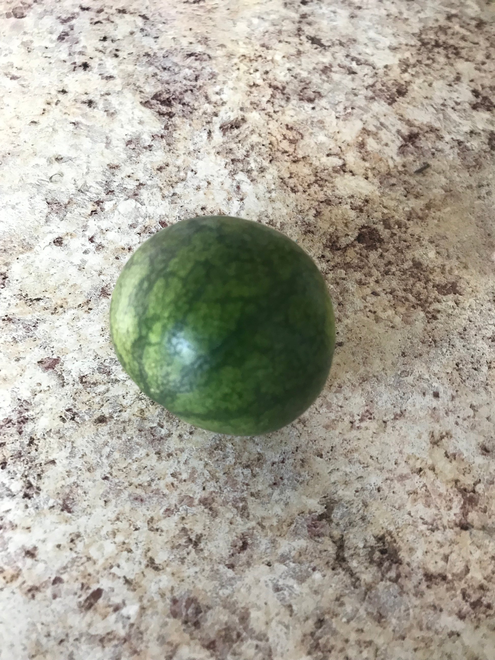 Green watermelon on a speckled countertop
