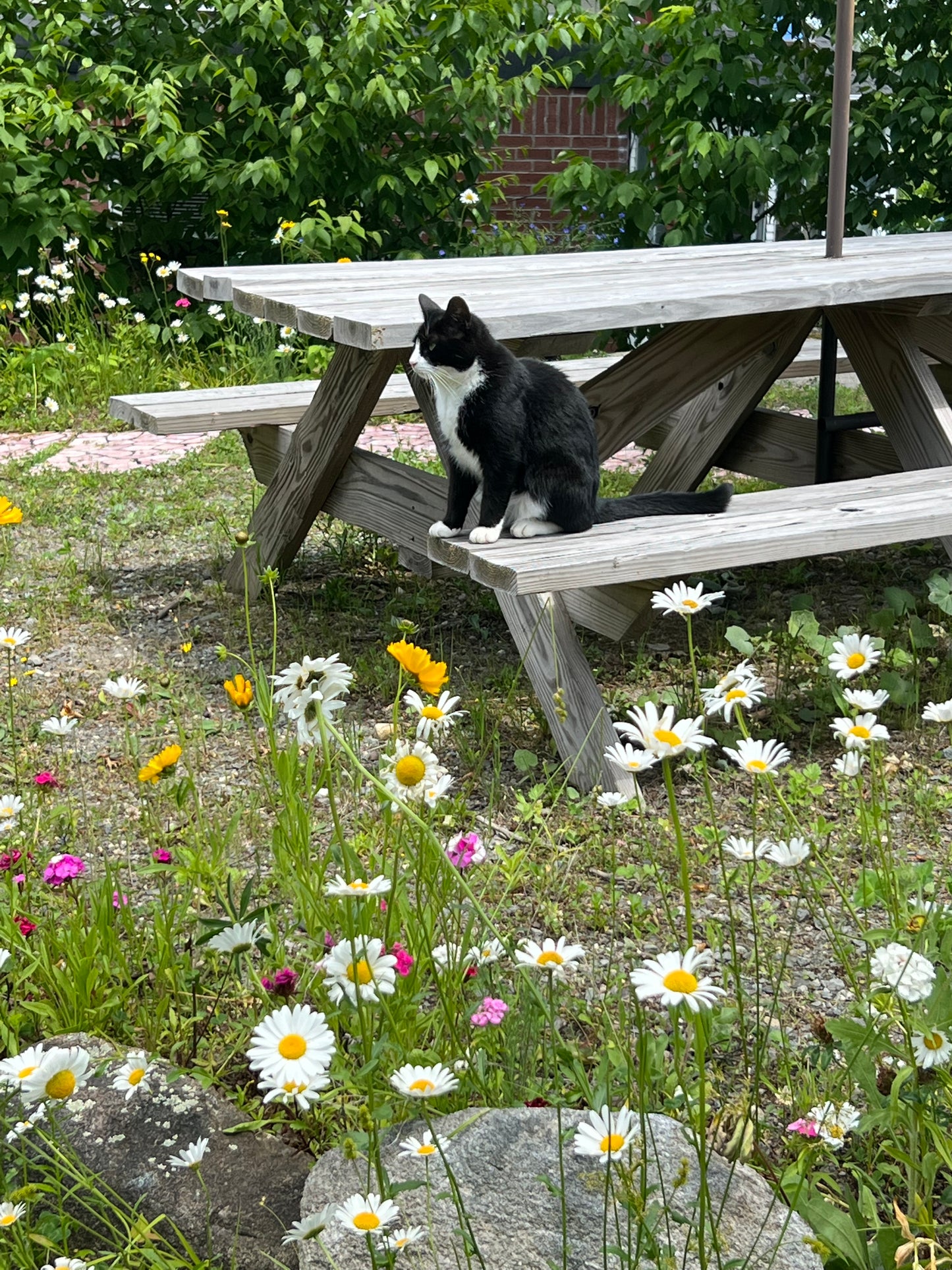 Lawns and Land