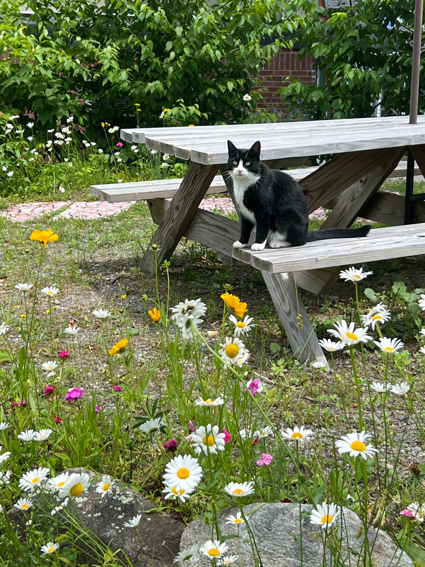 Lawns and Land