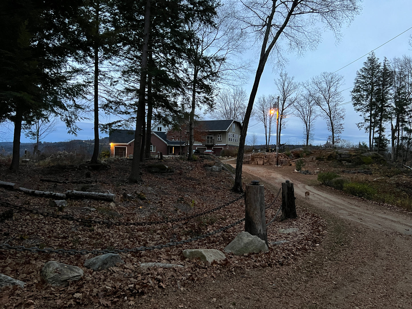 Mansion in the woods with a drive way leading up to it