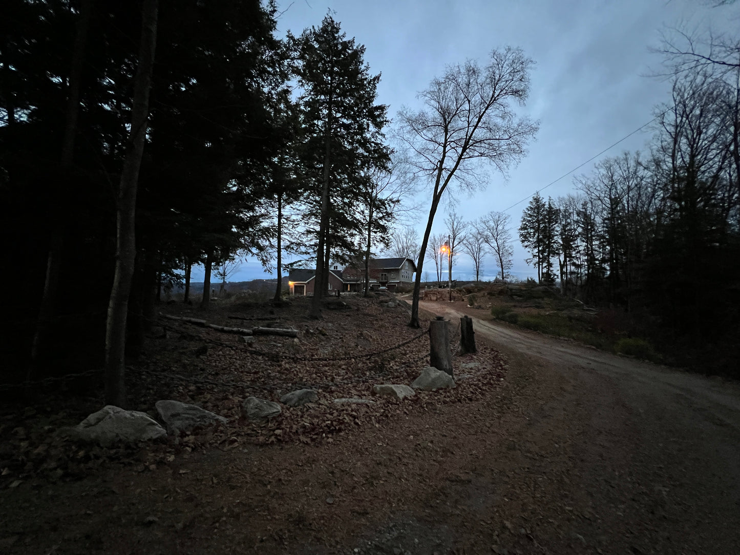 Pathway through a forest with a mansion  in the distance under a cloudy sky.
