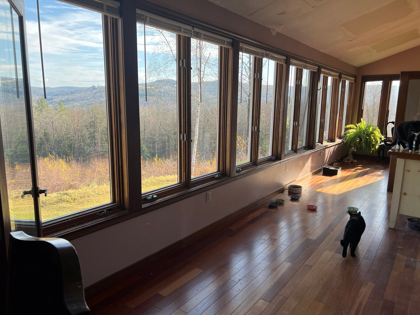 Large room with floor-to-ceiling windows offering a view of trees and sky, 