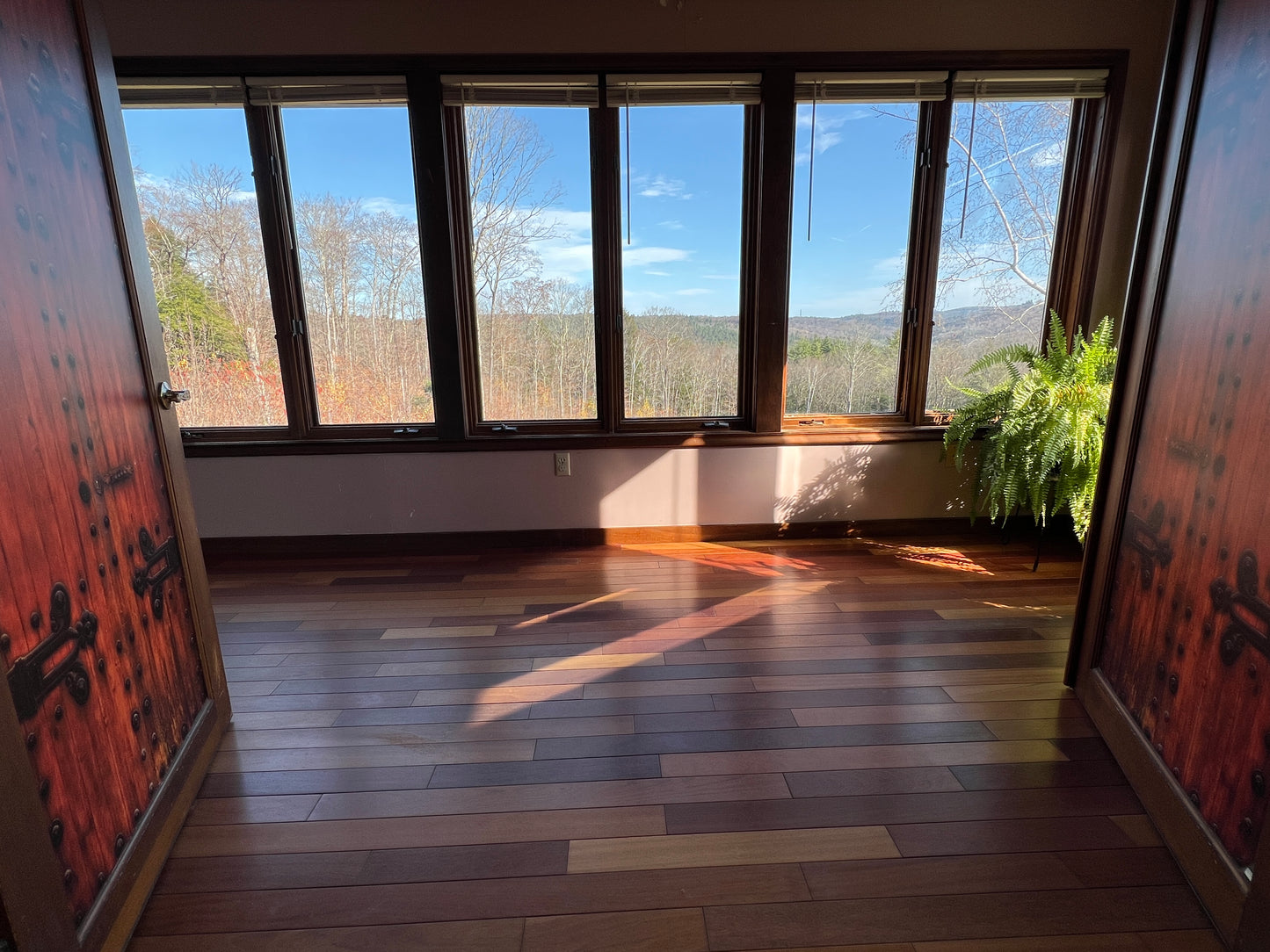 Room with large windows showing a scenic view of trees and mountains.