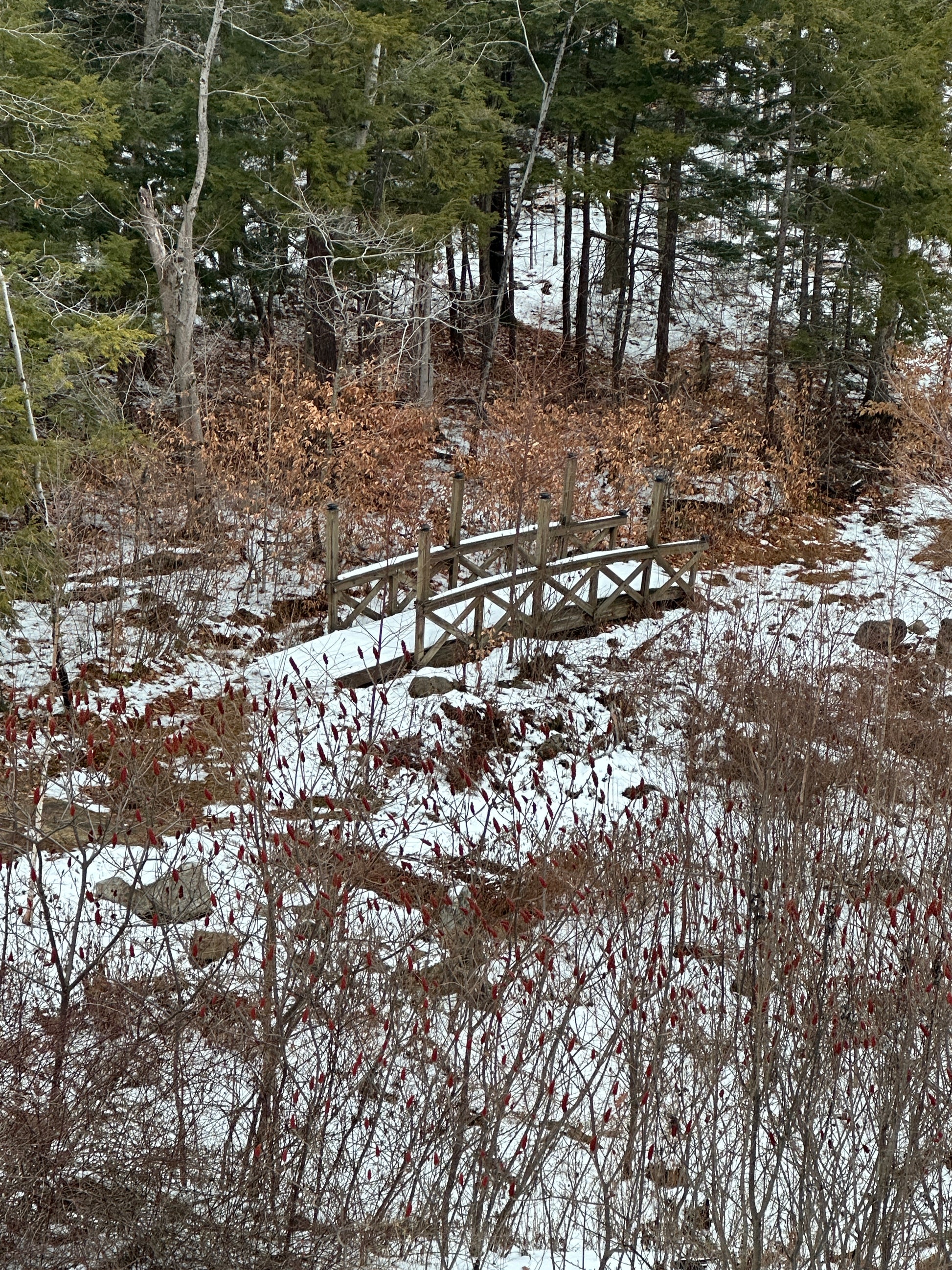 Wooden Bridge snow covered trails at the Nature View NH Estate
