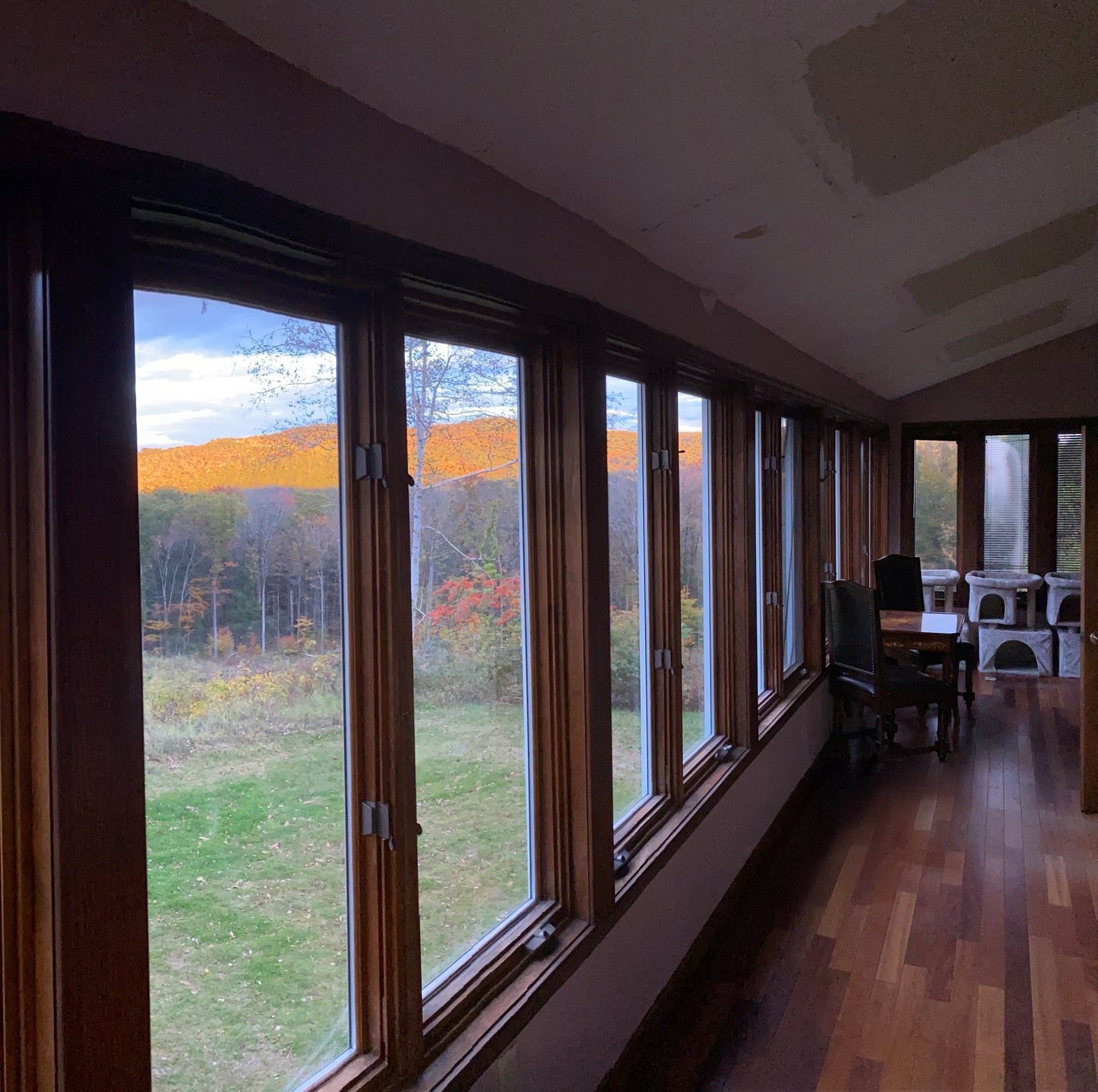 sunroom with large windows showing a view of trees and sky