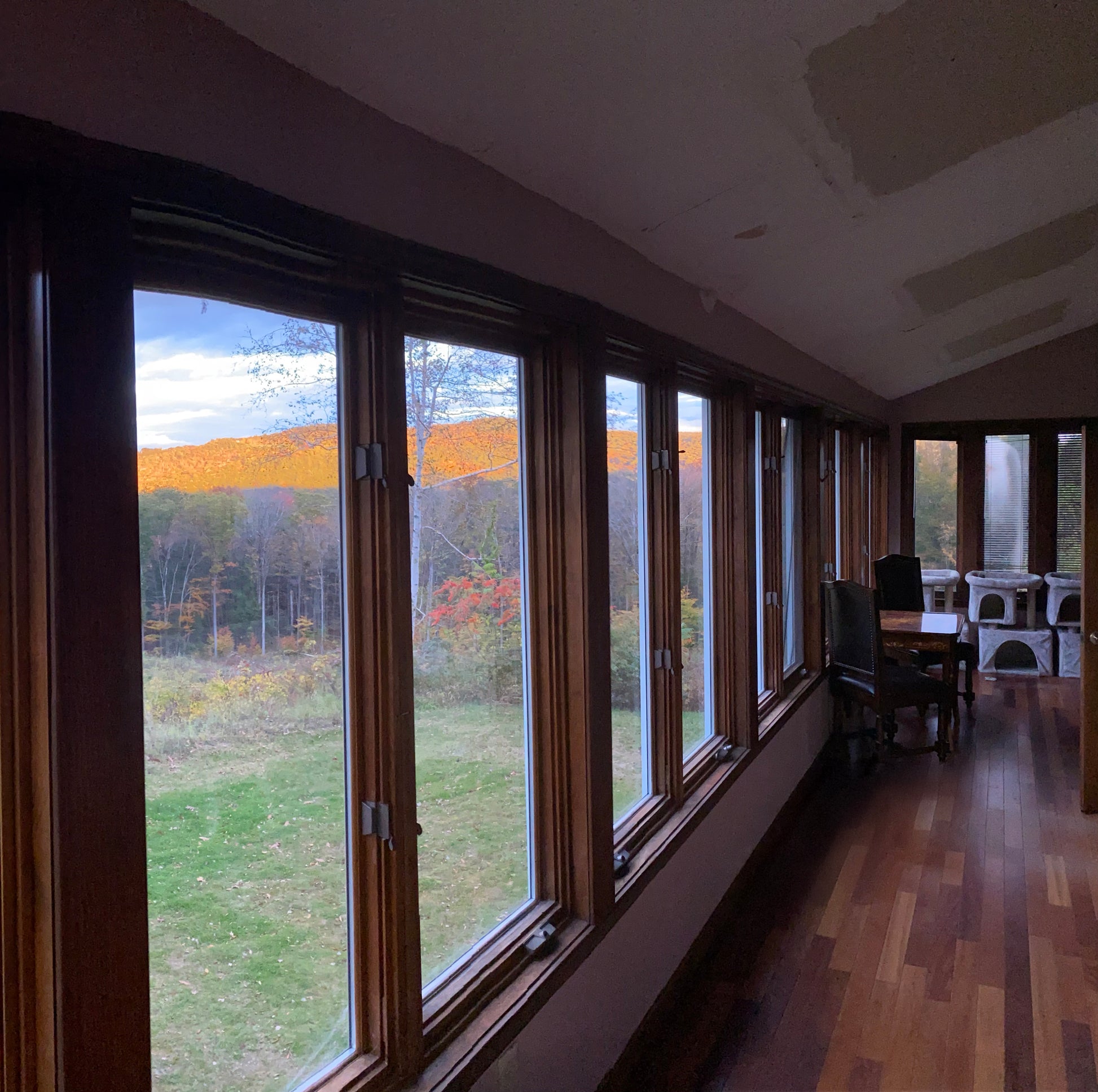 sunroom with large windows showing a view of trees and sky