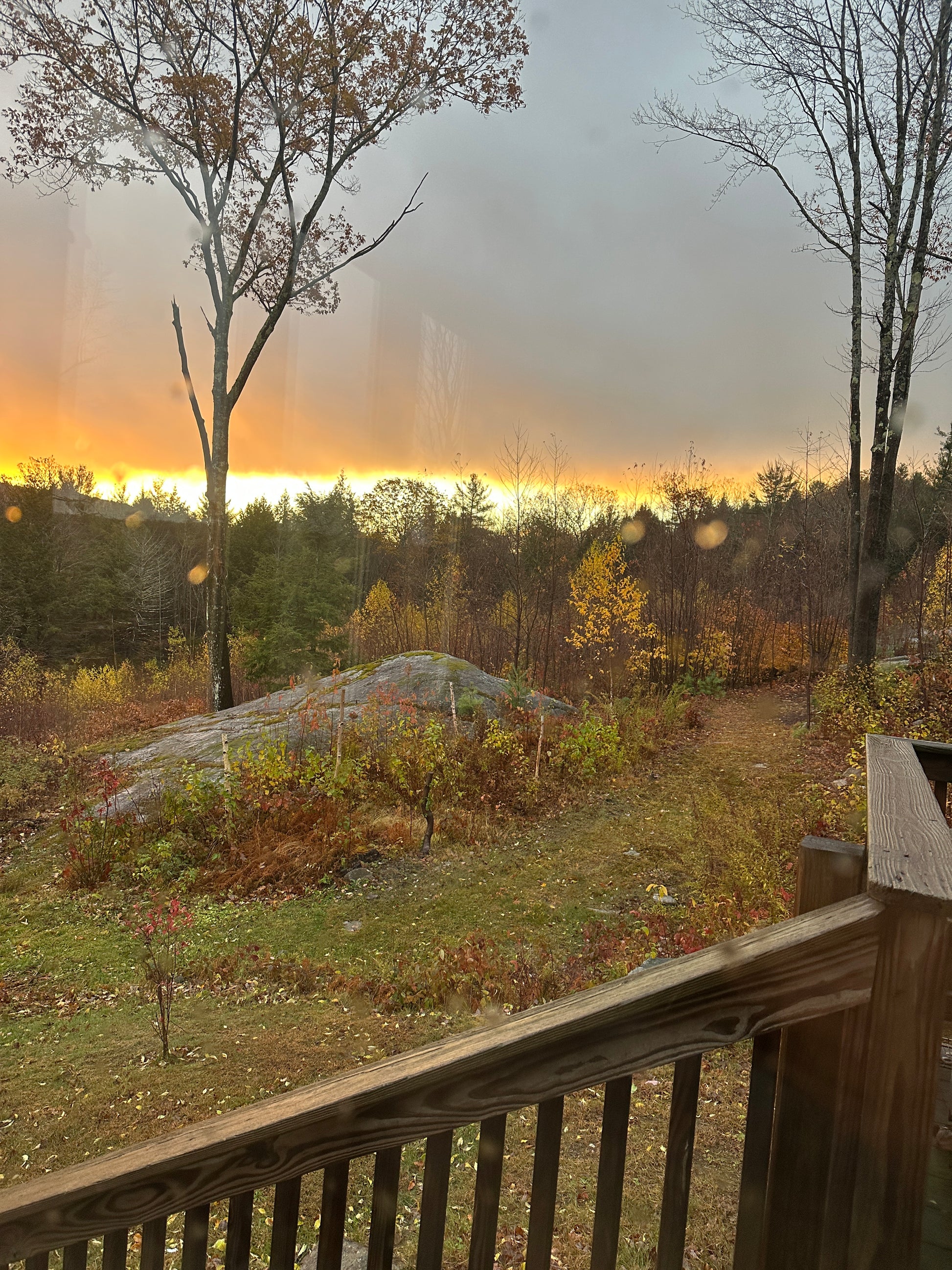 Sunrise  over a forest with a deck structure on the right