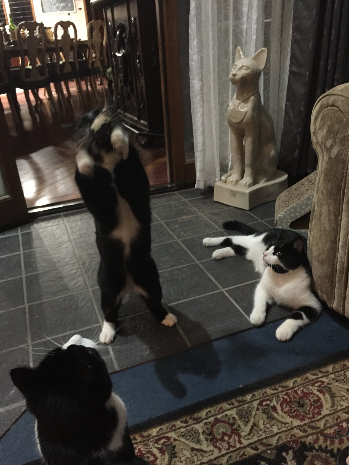 Three cats on a tiled floor with a decorative cat statue in the background.