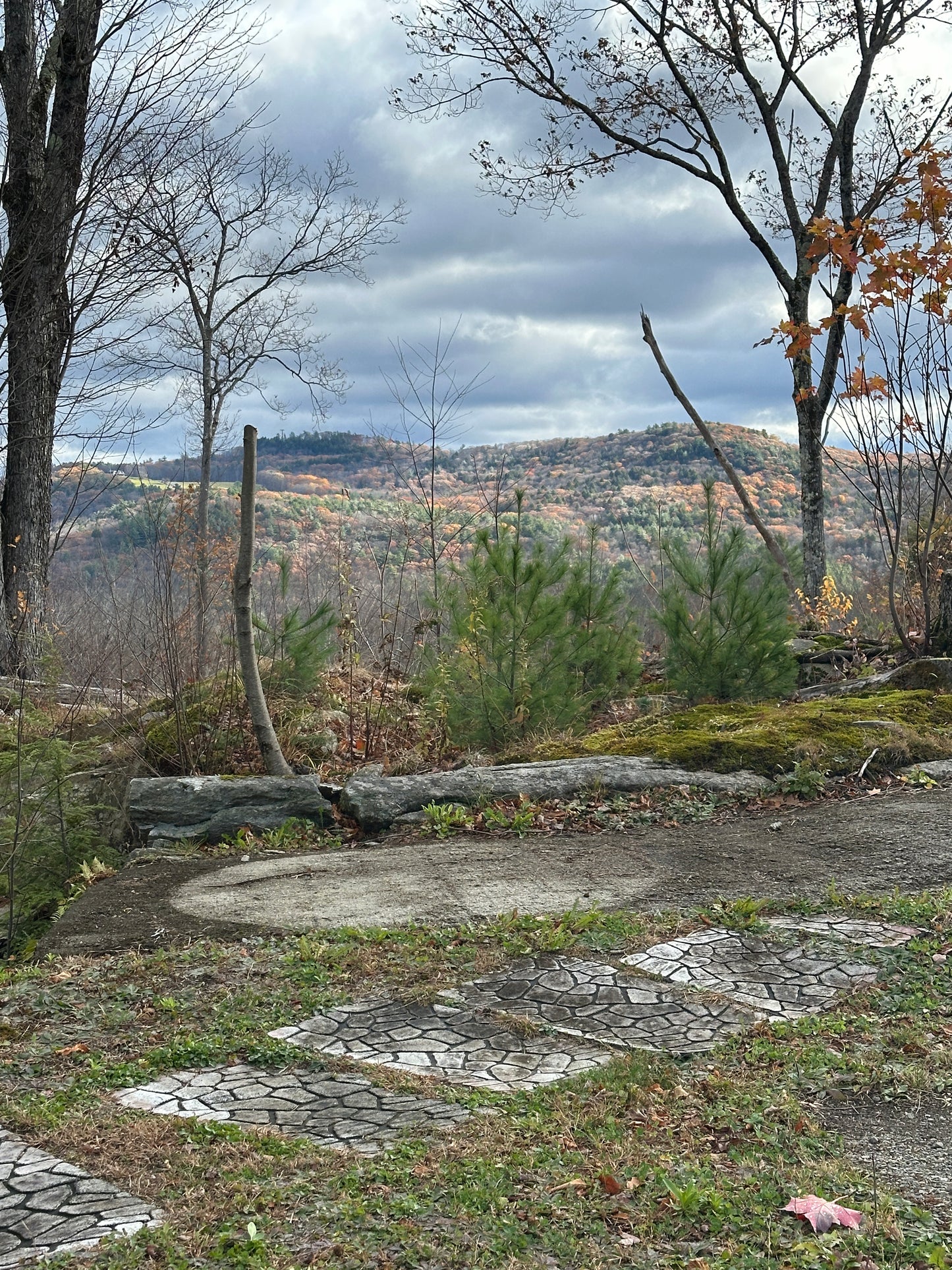 Mountain view from the fire pit