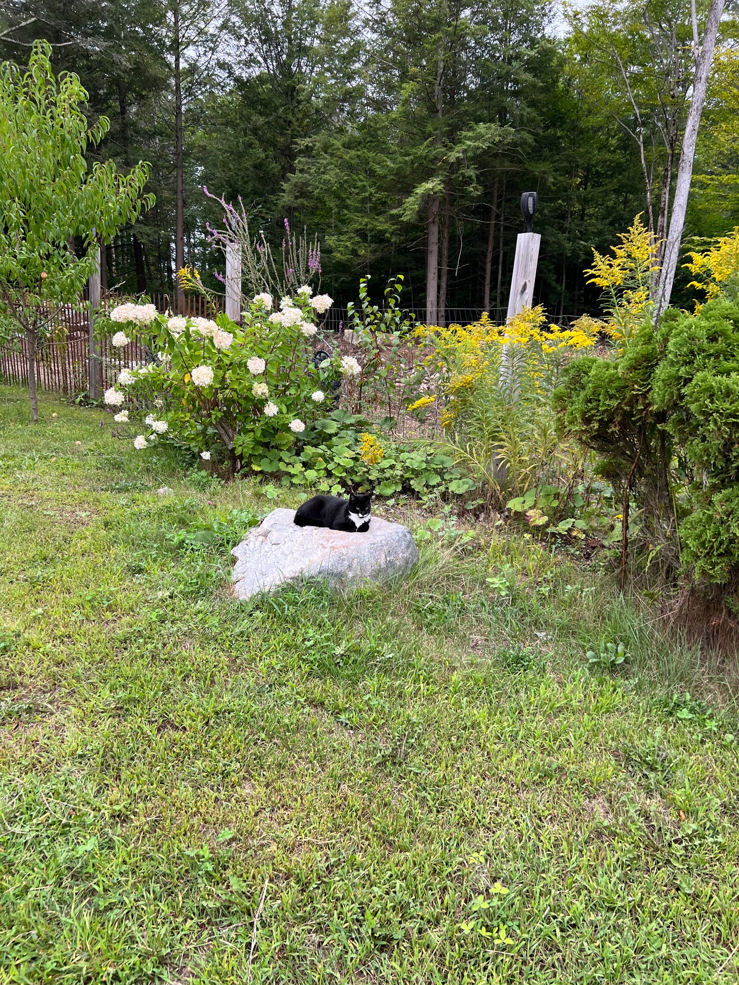 Lawns and Land