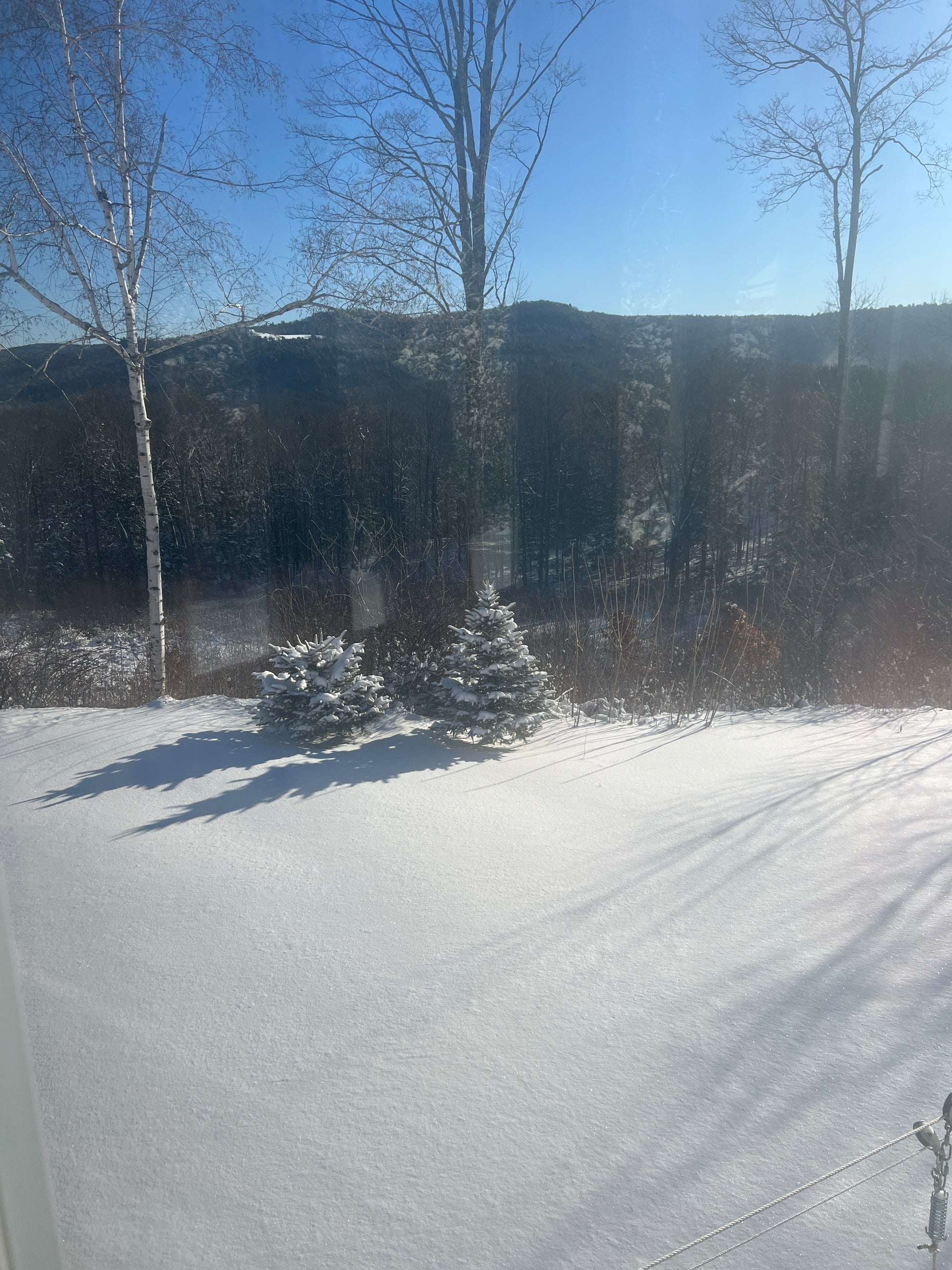 Snowy landscape with a wall and trees on a clear day