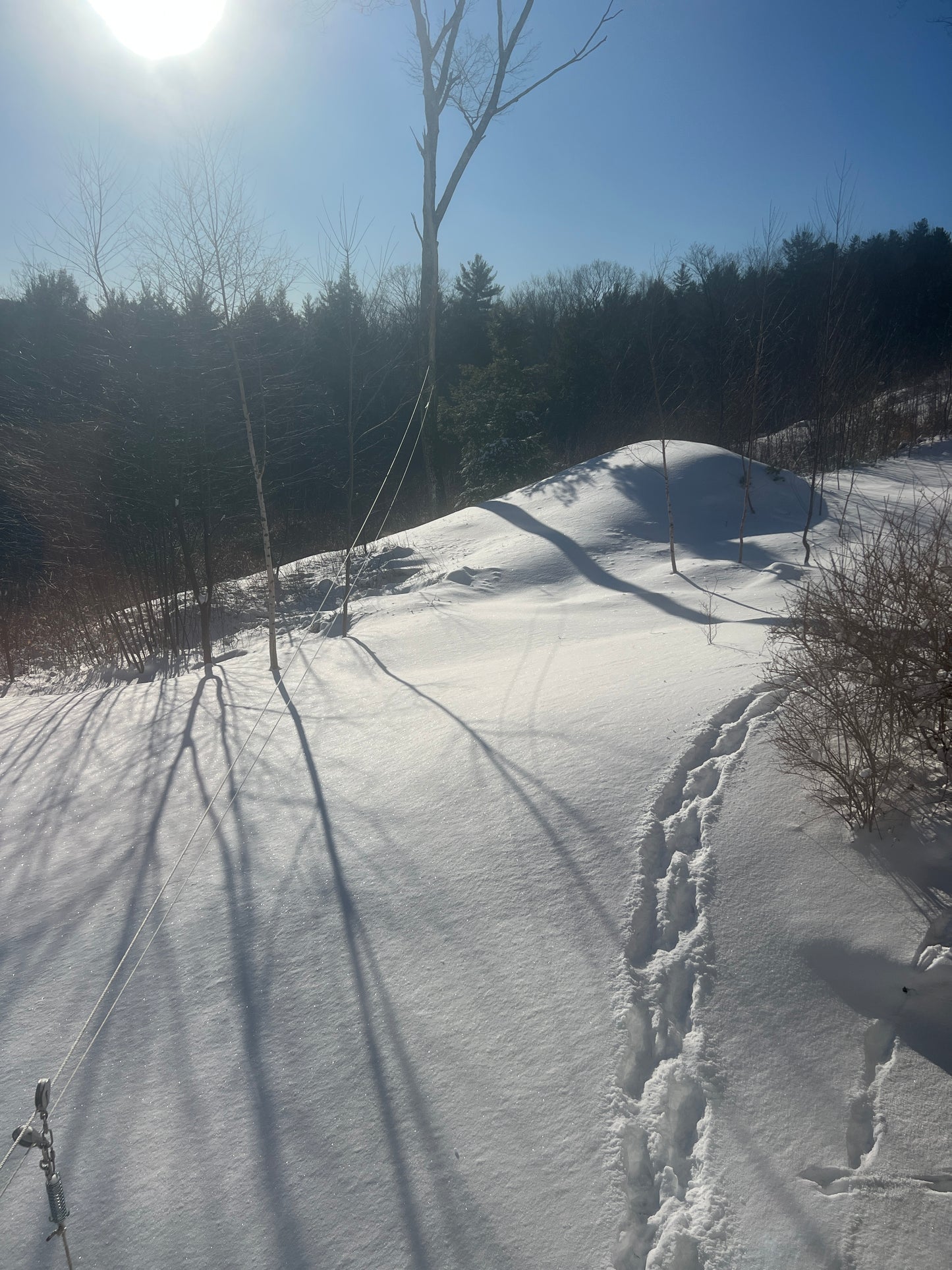 Snowy landscape with shadows of trees on a clear day