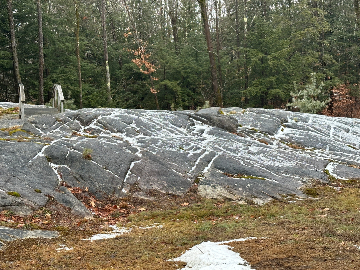 Rocks with a forest background  bridge on ledges