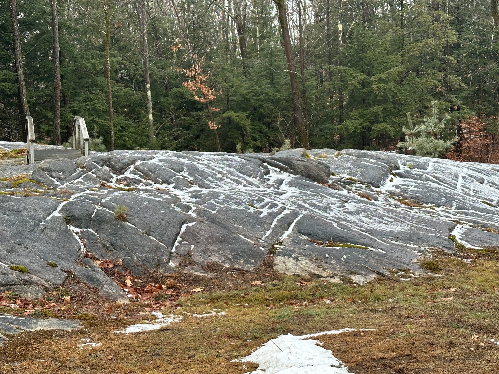 Rocks with a forest background  bridge on ledges