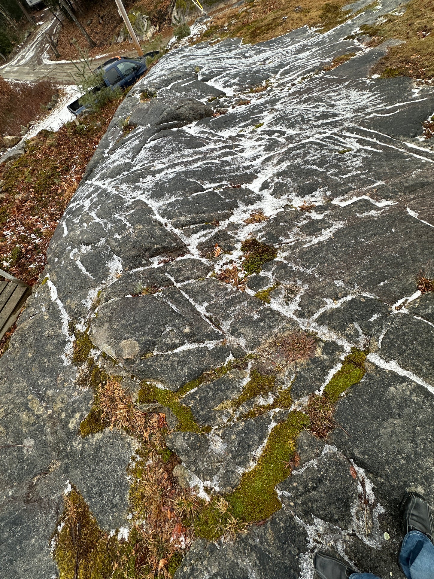 Close-up of a textured rock surface with white snow covered veins and green moss