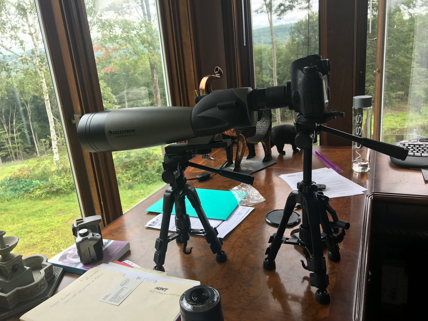 Telescope on a tripod in a room with large windows showing greenery outside
