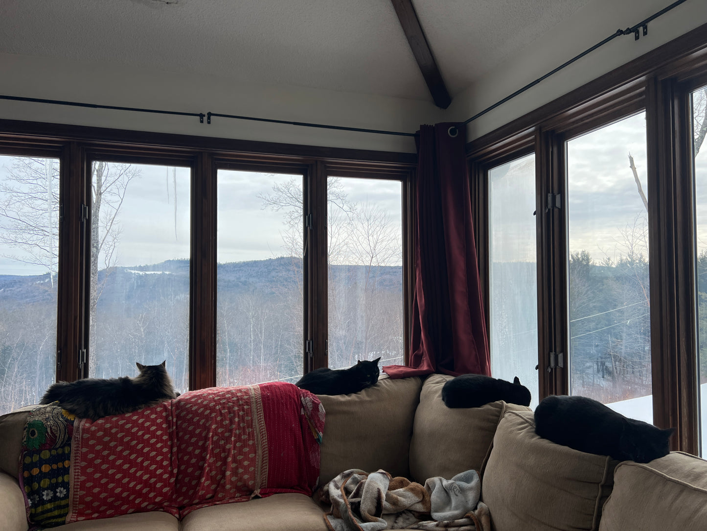 Cats on a couch with large windows showing a snowy landscape