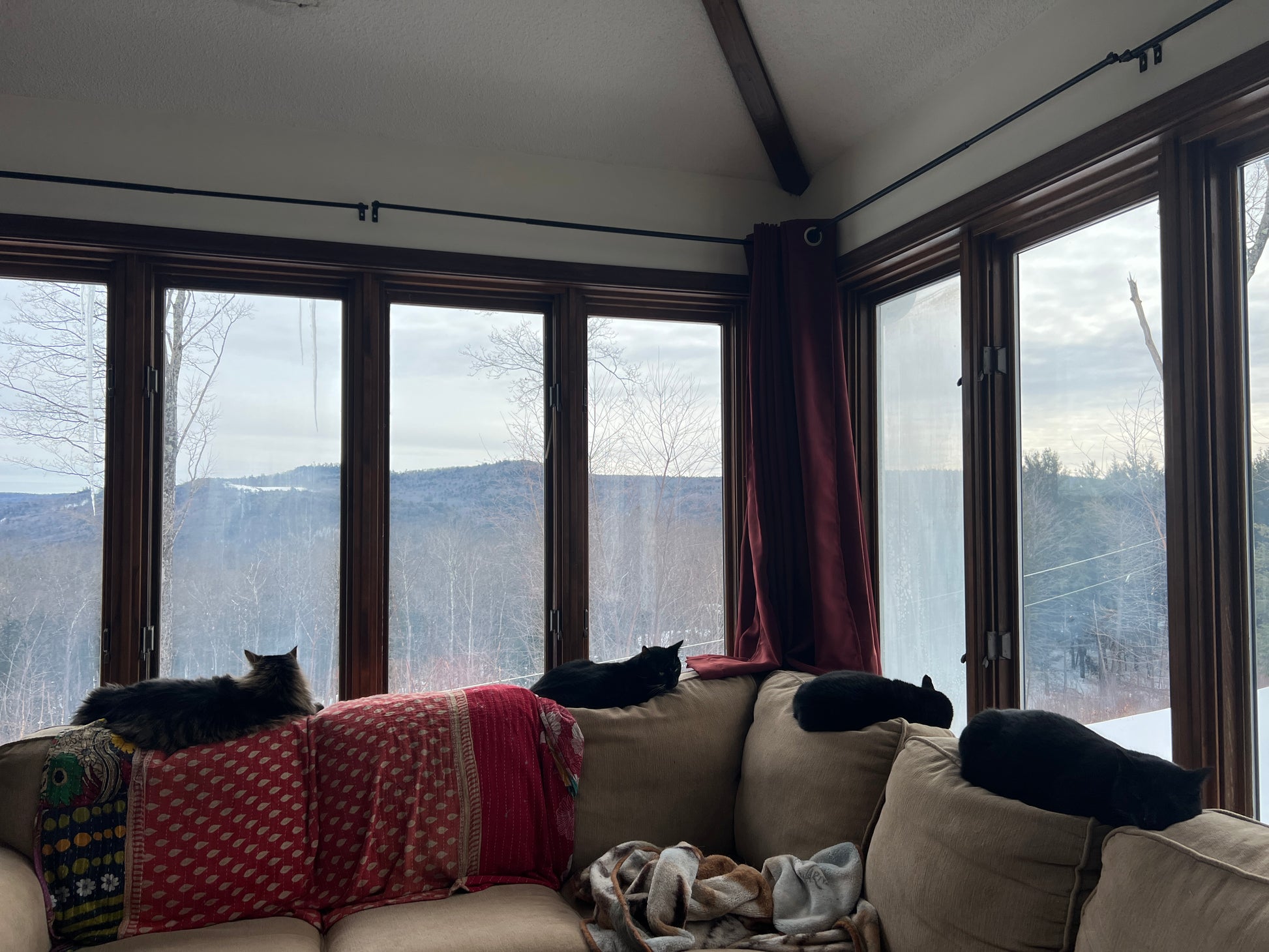 Cats on a couch with large windows showing a snowy landscape