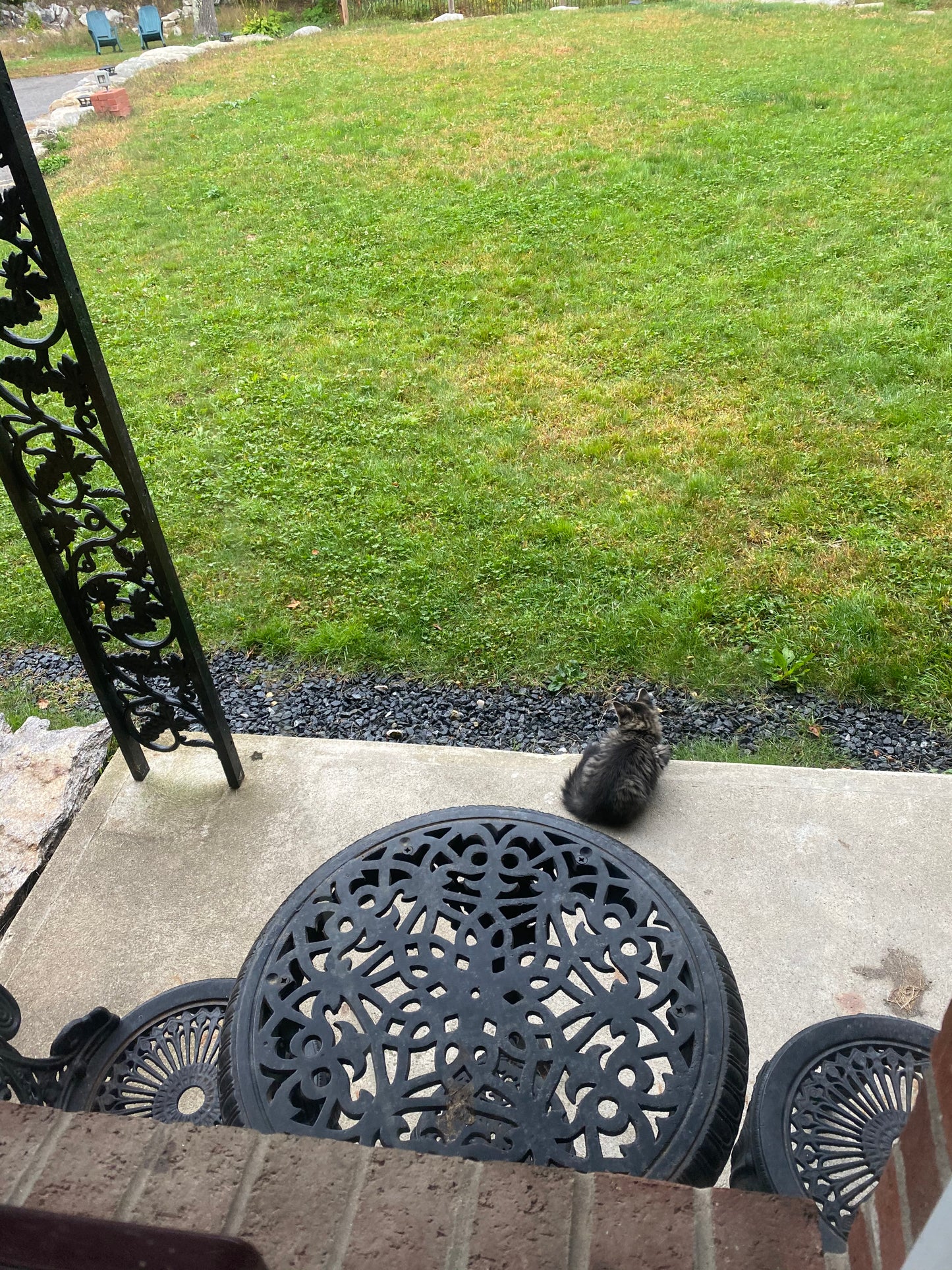 Decorative black wrought iron metal table and chair set on a patio with grassy area in the background